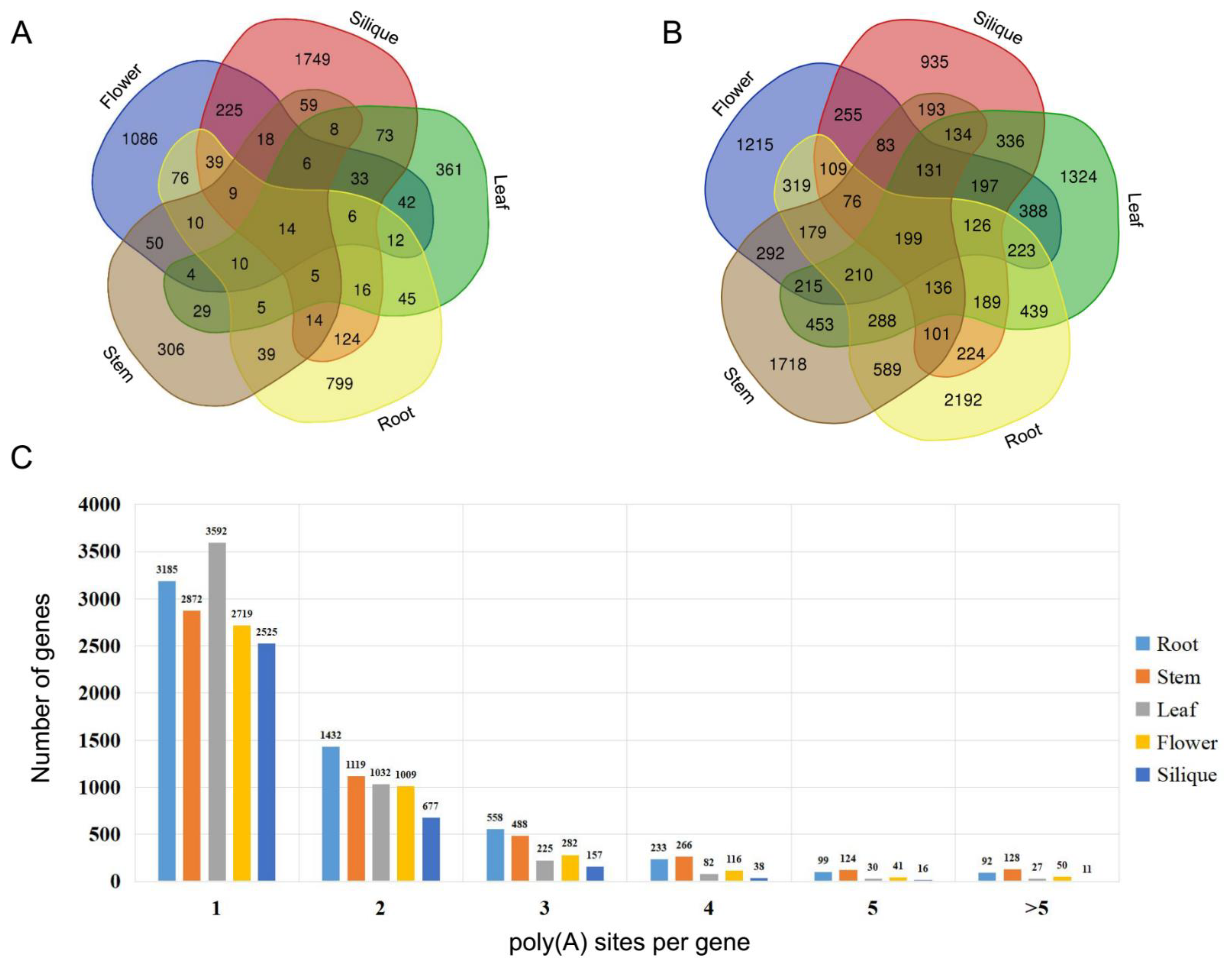Ijms 22 10443 g003 550