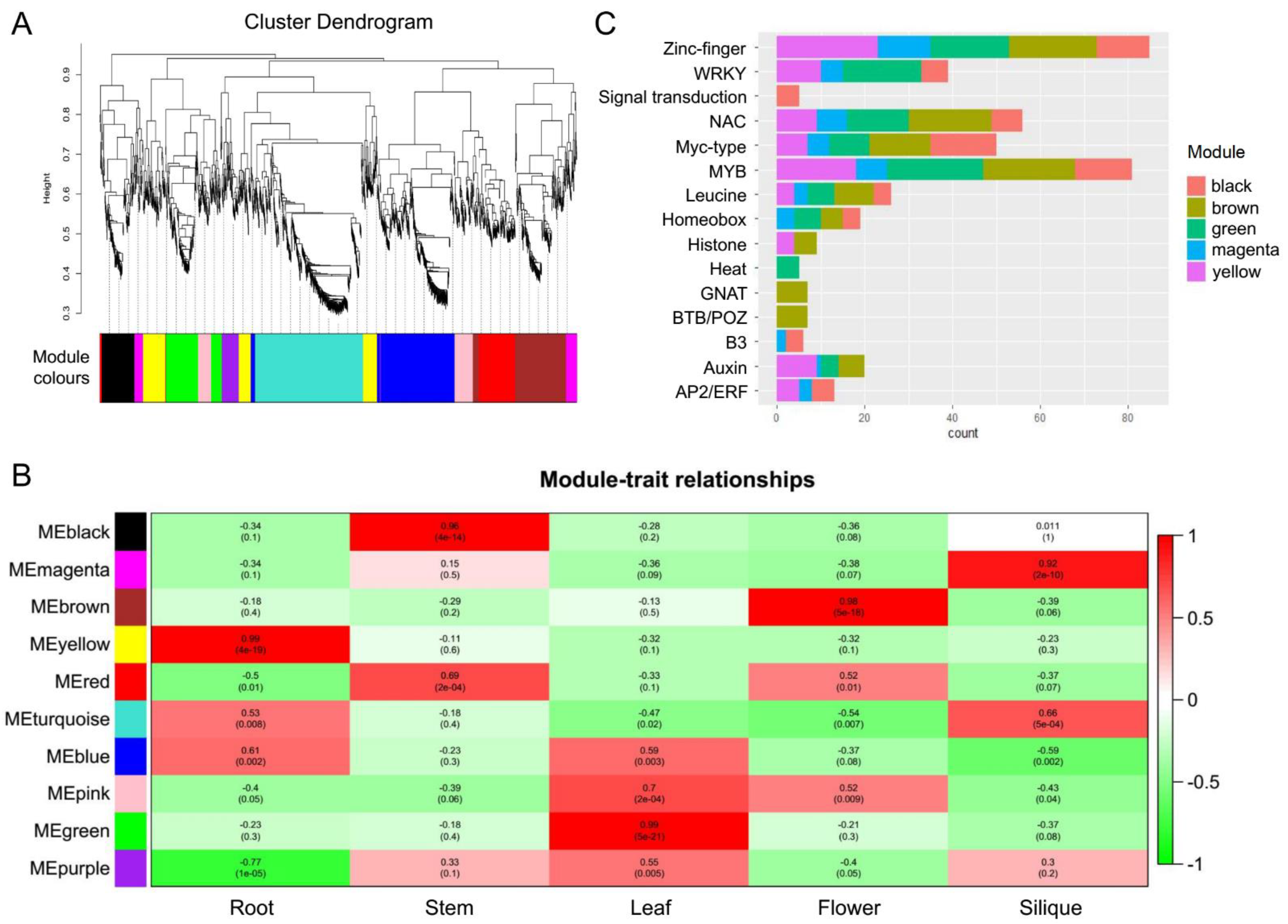 Ijms 22 10443 g004 550