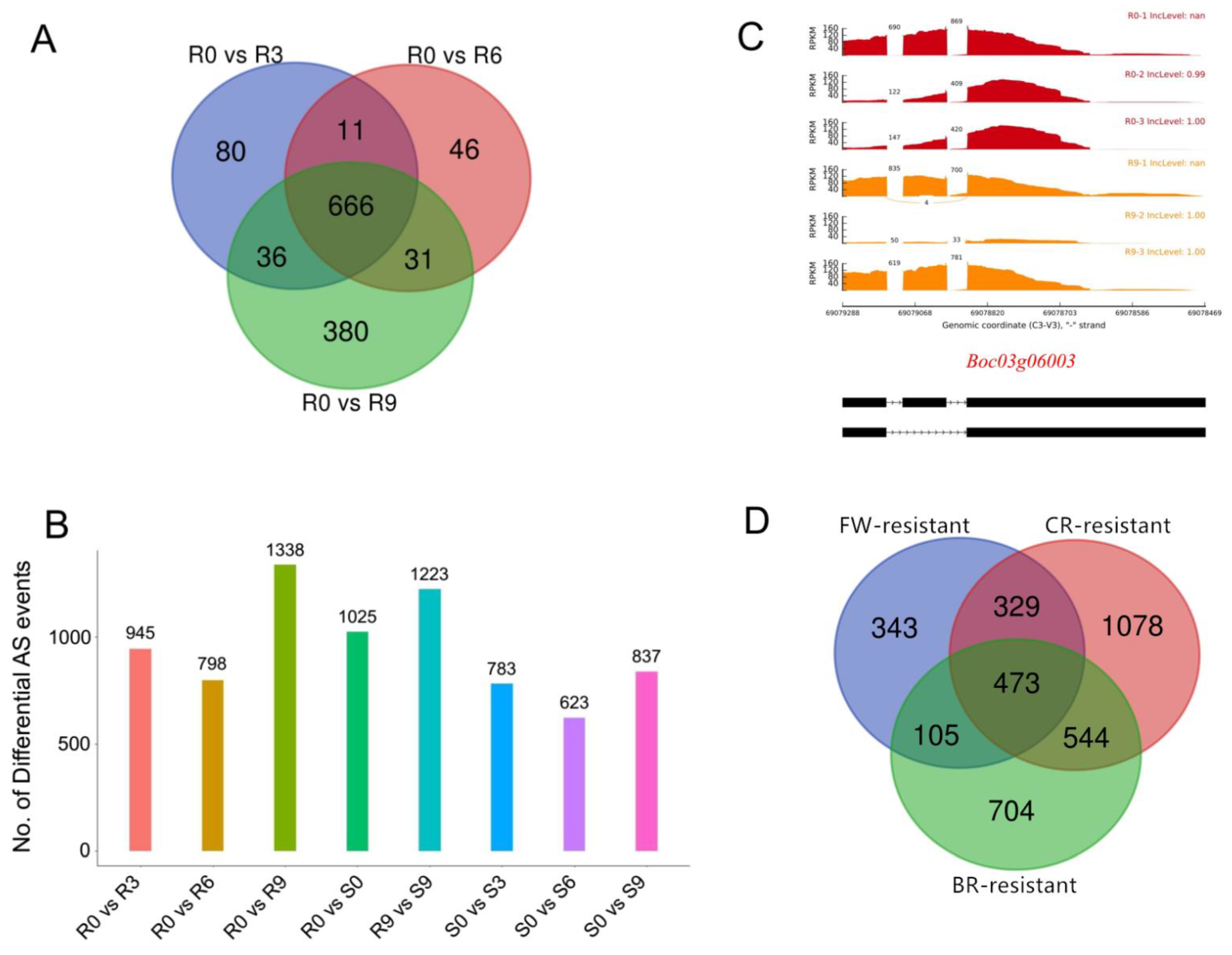 Ijms 22 10443 g005 550