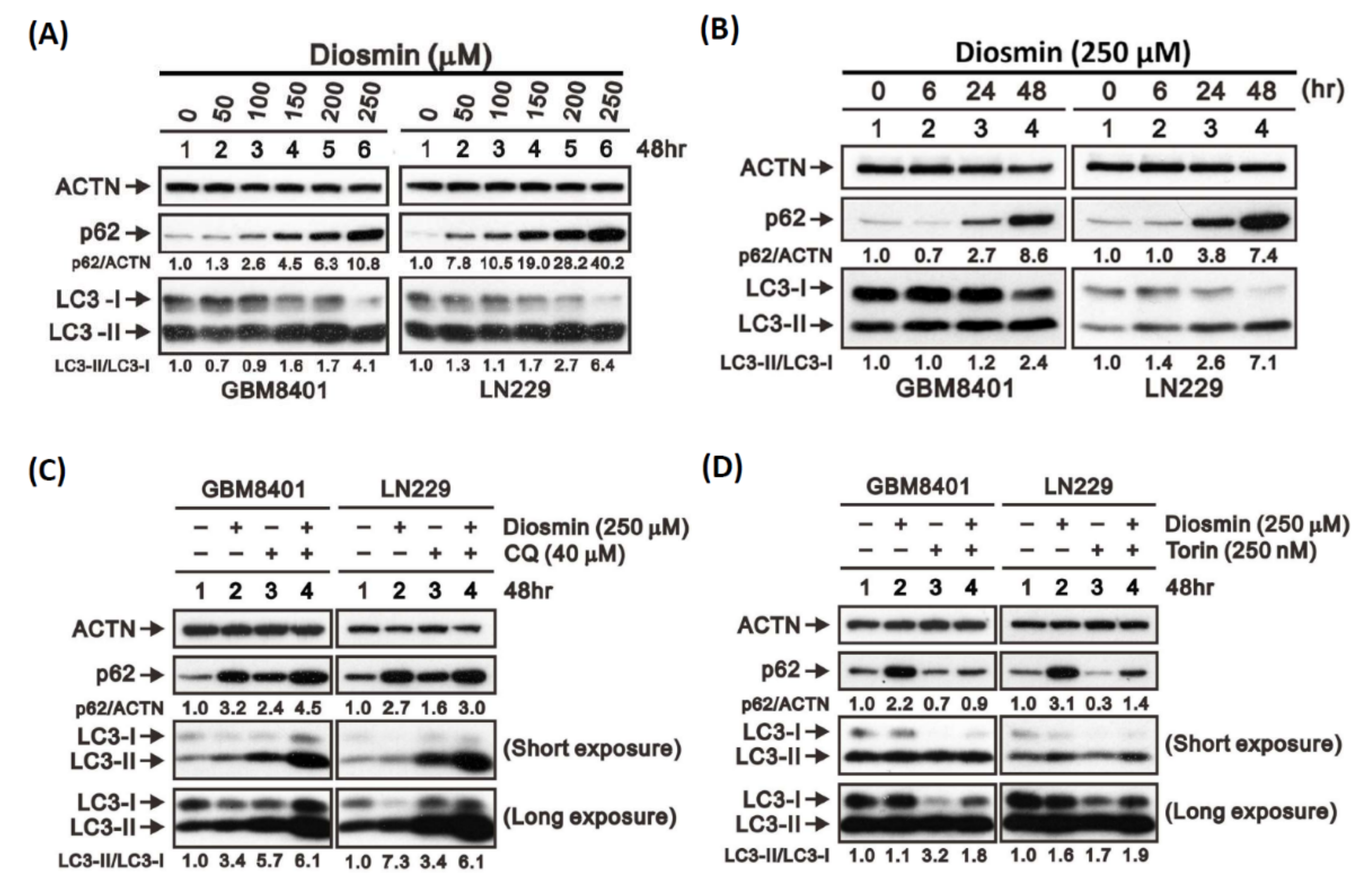 Ijms 22 10453 g008 550