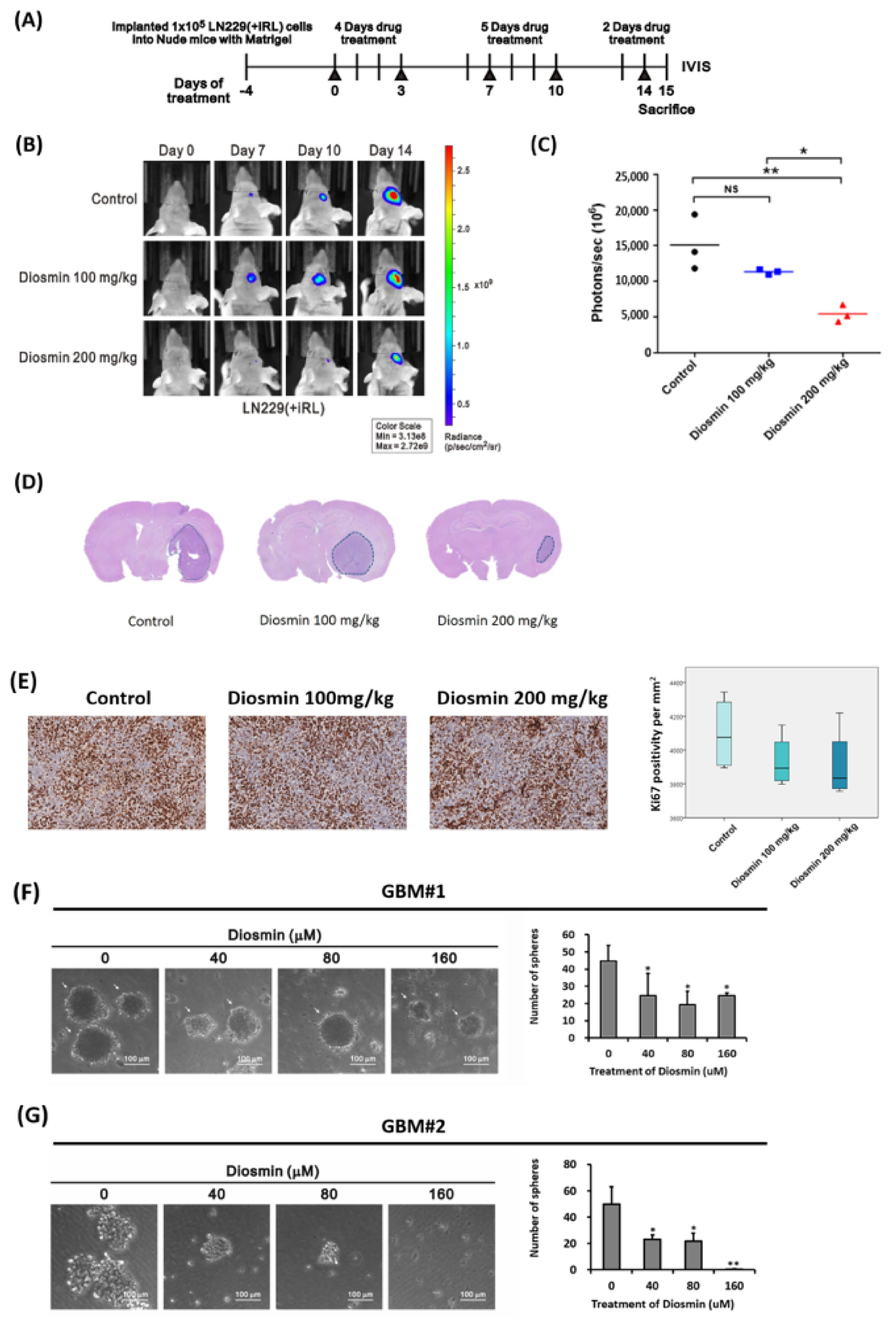 Ijms 22 10453 g009 550