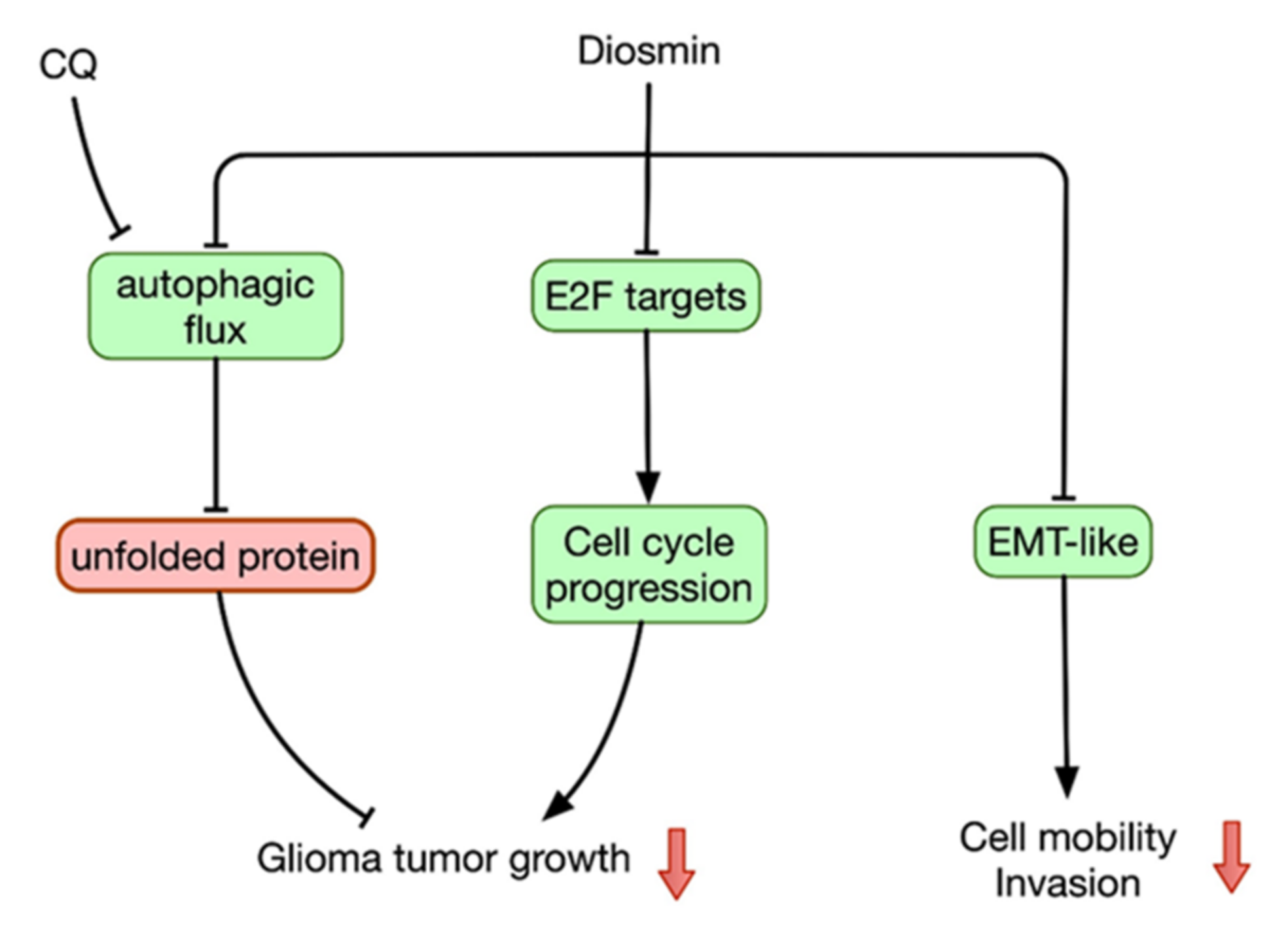 Ijms 22 10453 g010 550