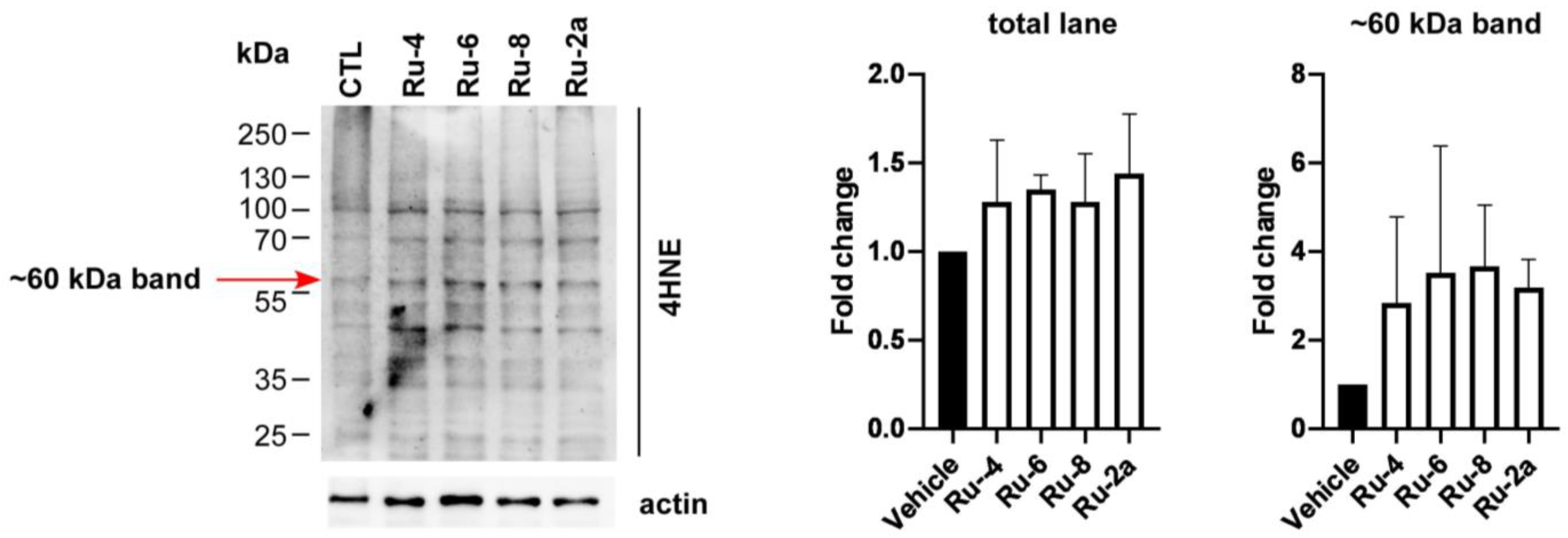 Ijms 22 10454 g008 550