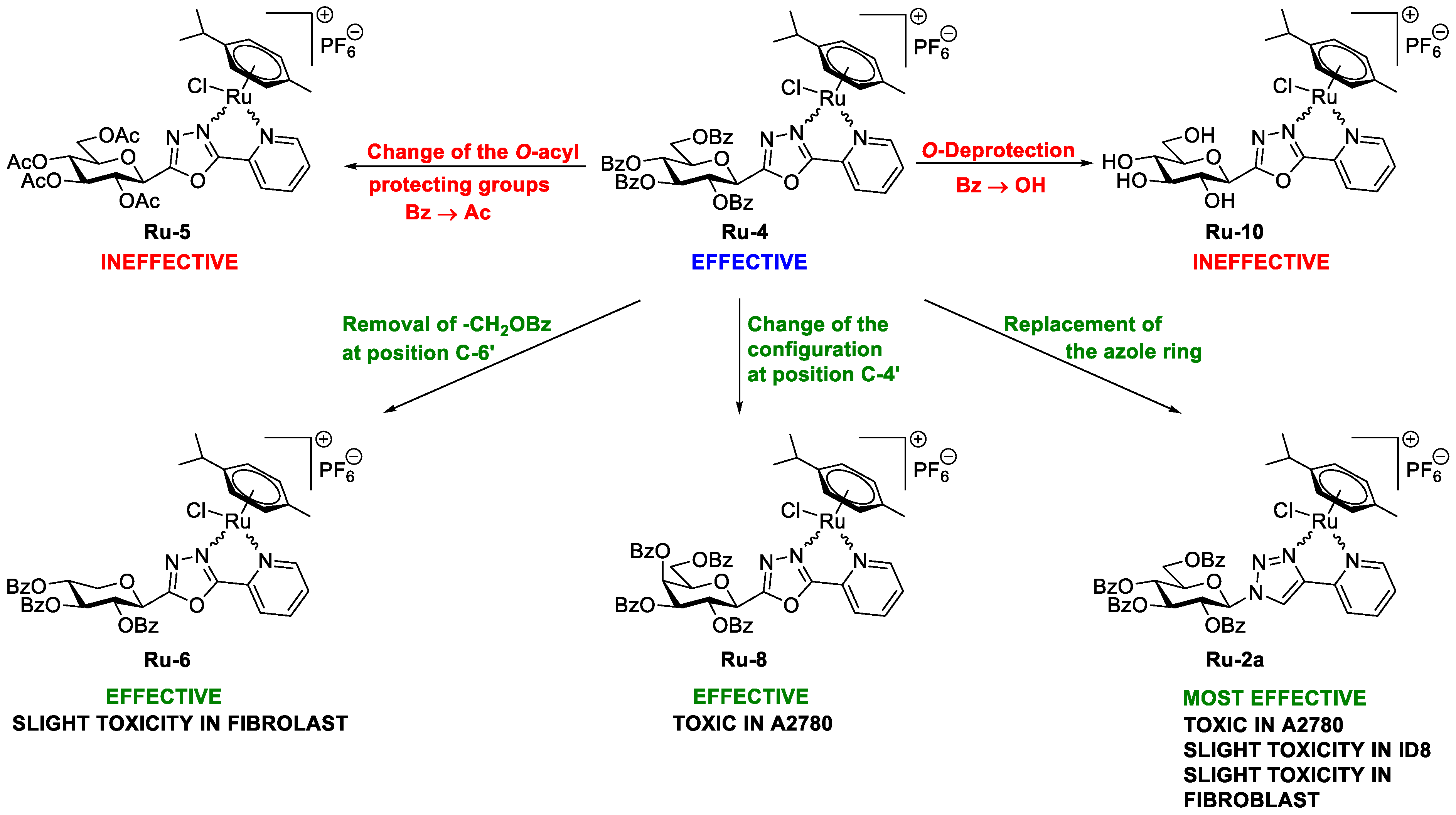 Ijms 22 10454 g013 550