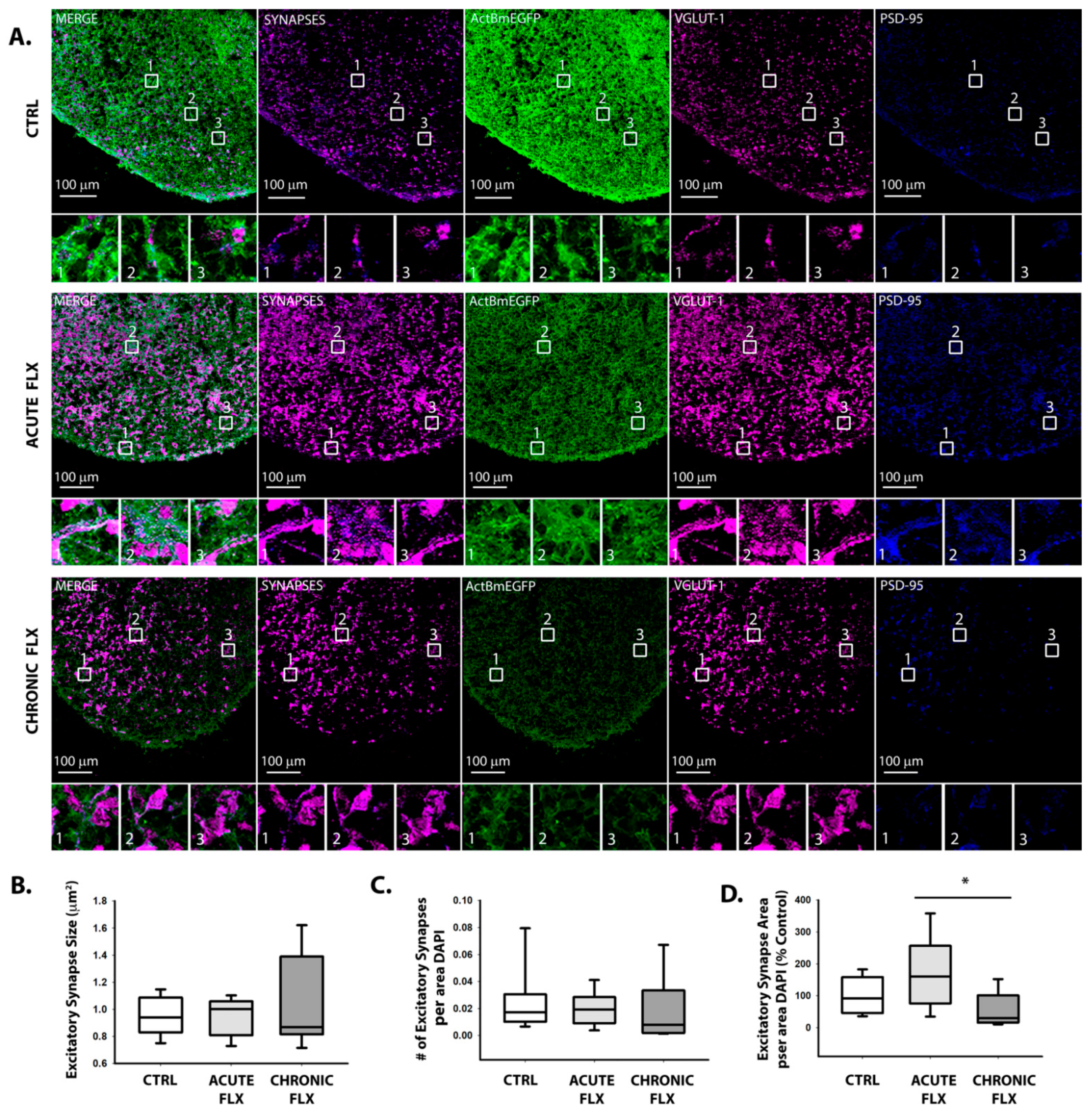 Ijms 22 10457 g005 550