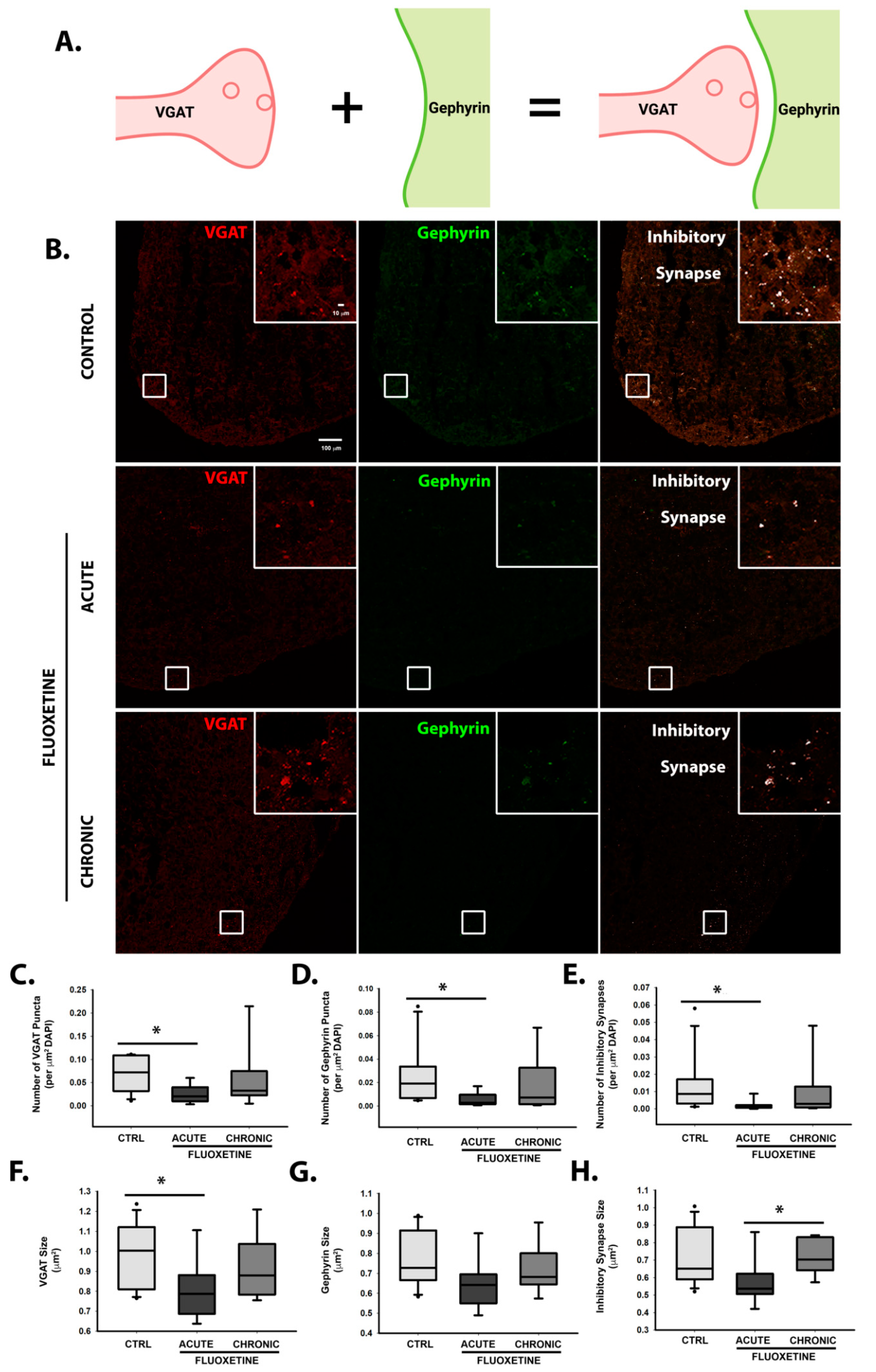 Ijms 22 10457 g006 550