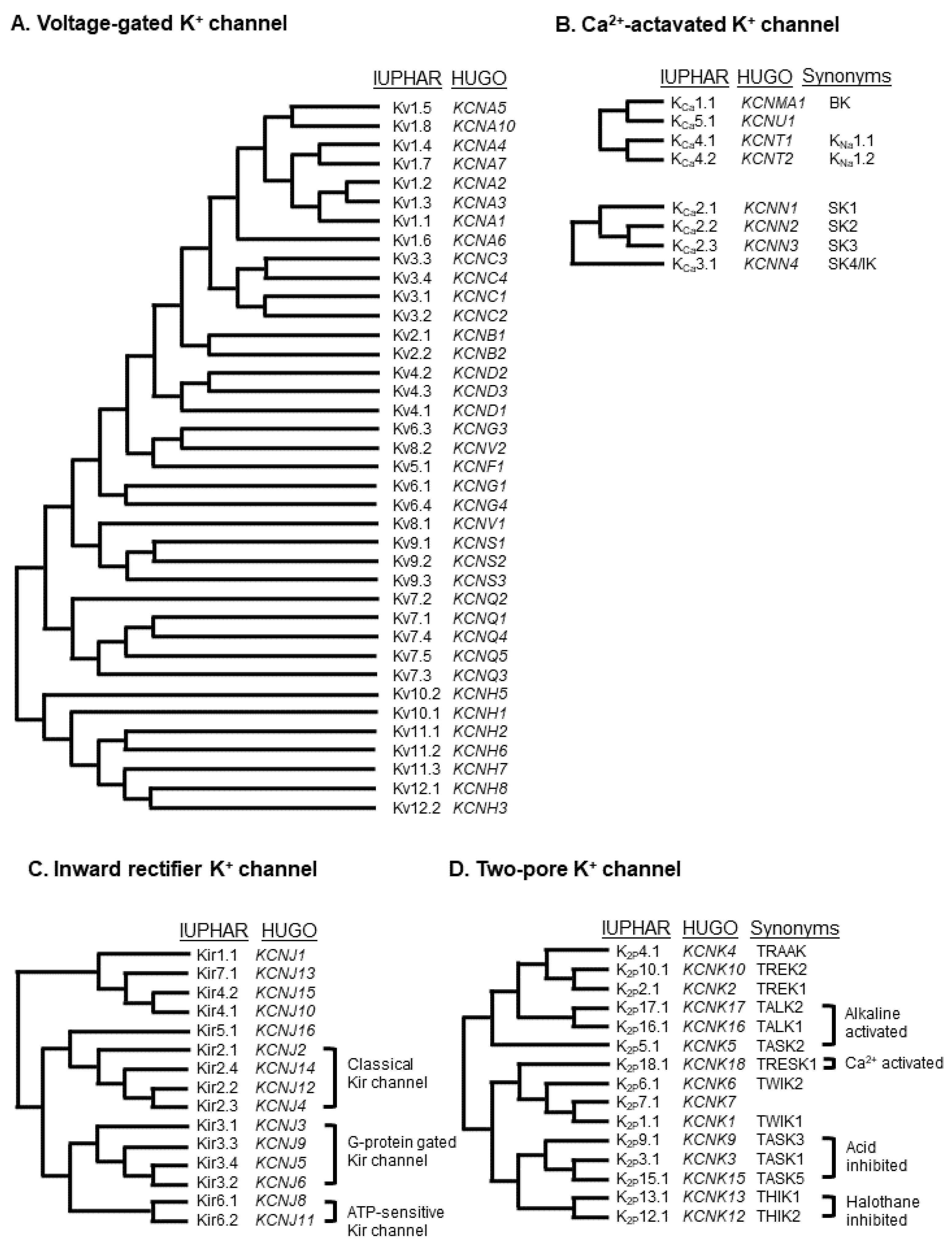 Ijms 22 10459 g003 550