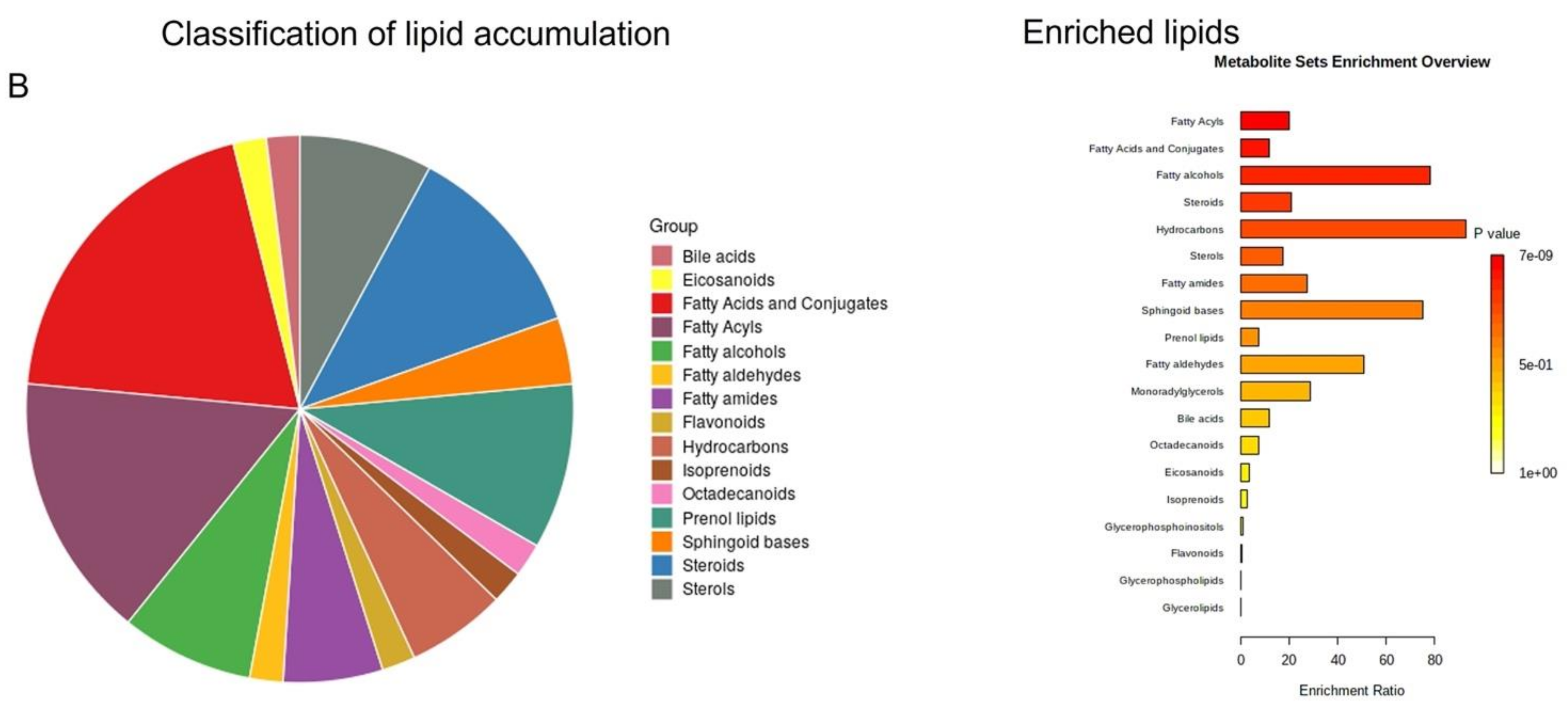 Ijms 22 10467 g004b 550