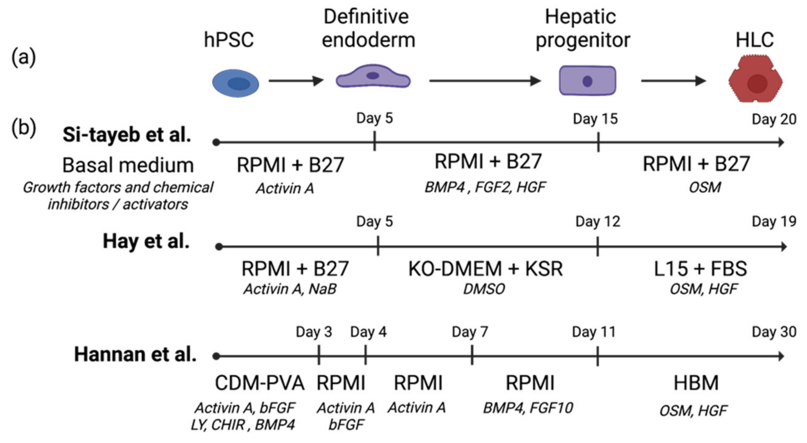 Ijms 22 10471 g001 550