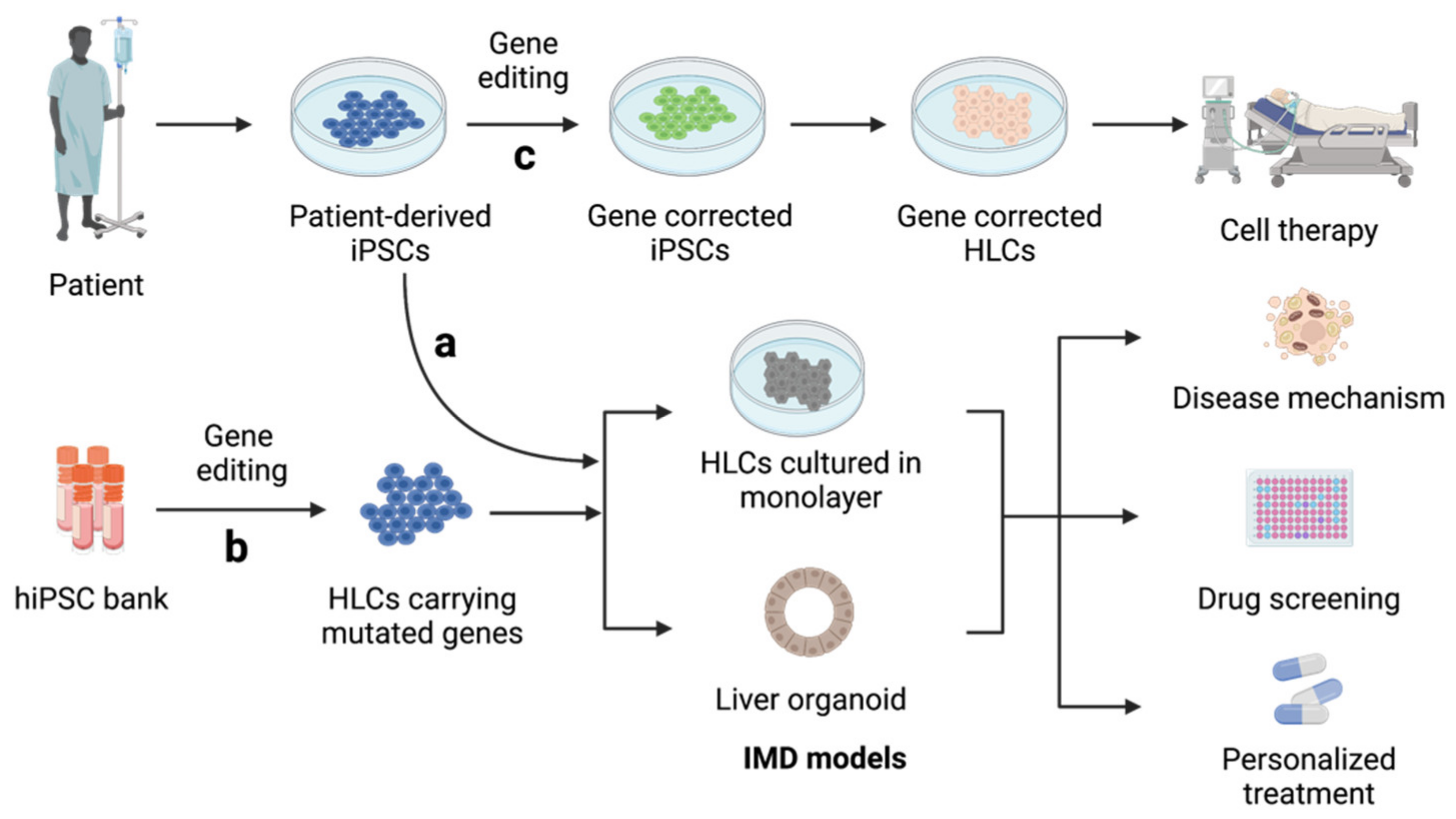 Ijms 22 10471 g003 550