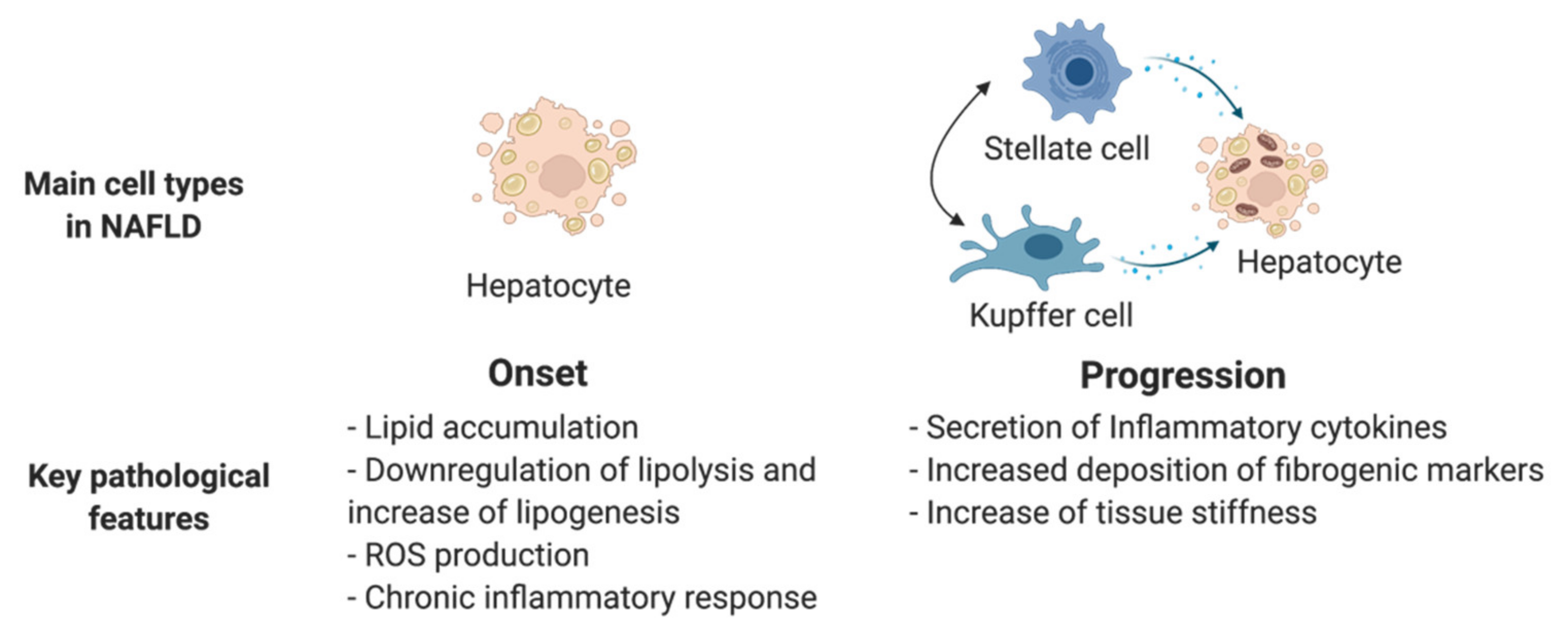 Ijms 22 10471 g004 550