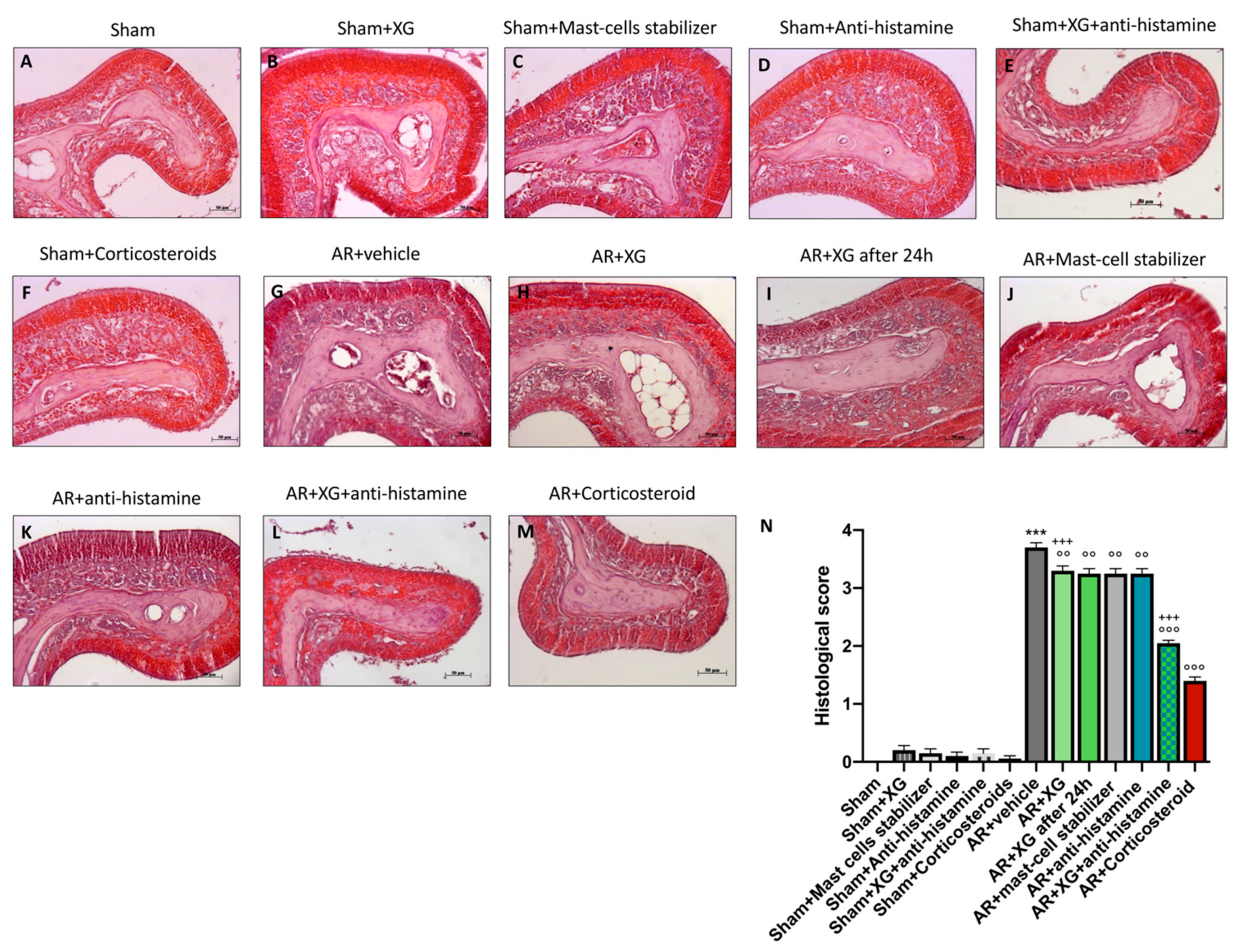 Ijms 22 10472 g007 550