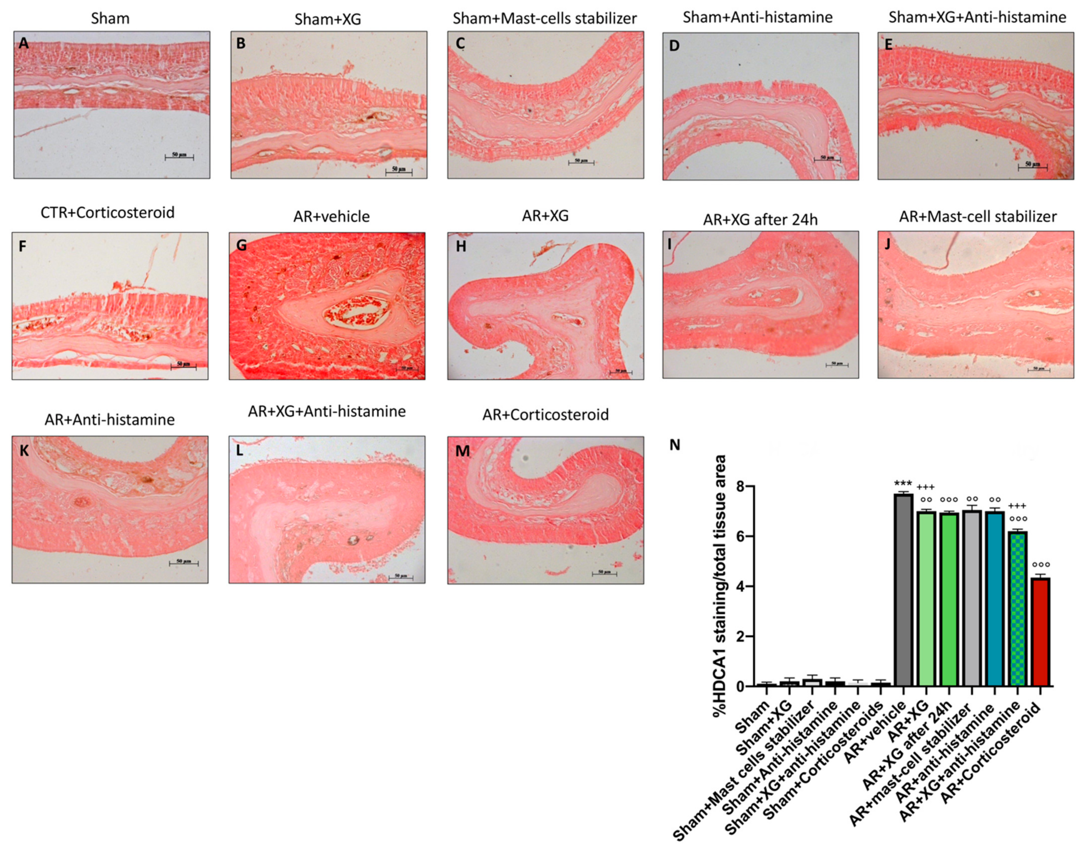 Ijms 22 10472 g008 550