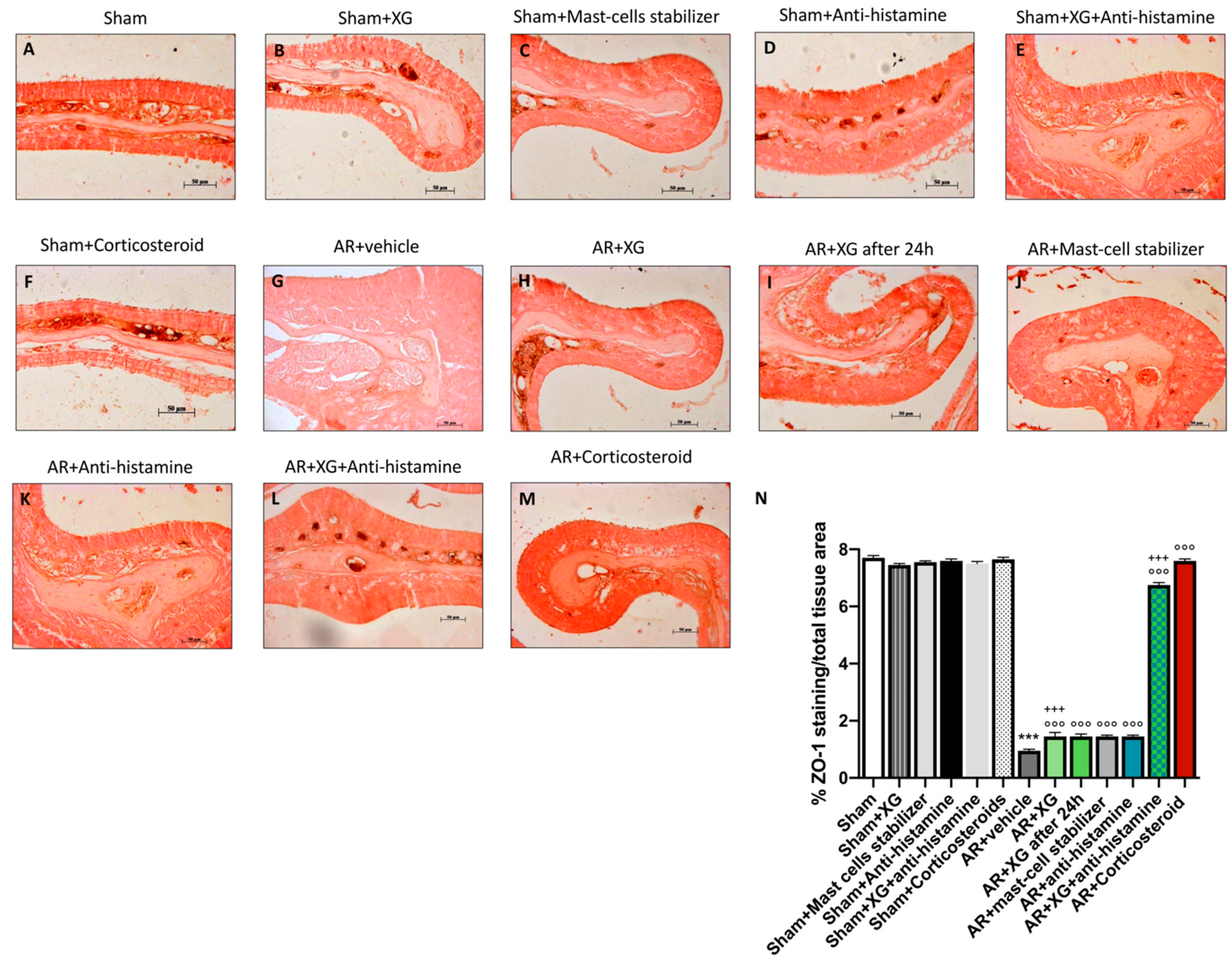 Ijms 22 10472 g009 550