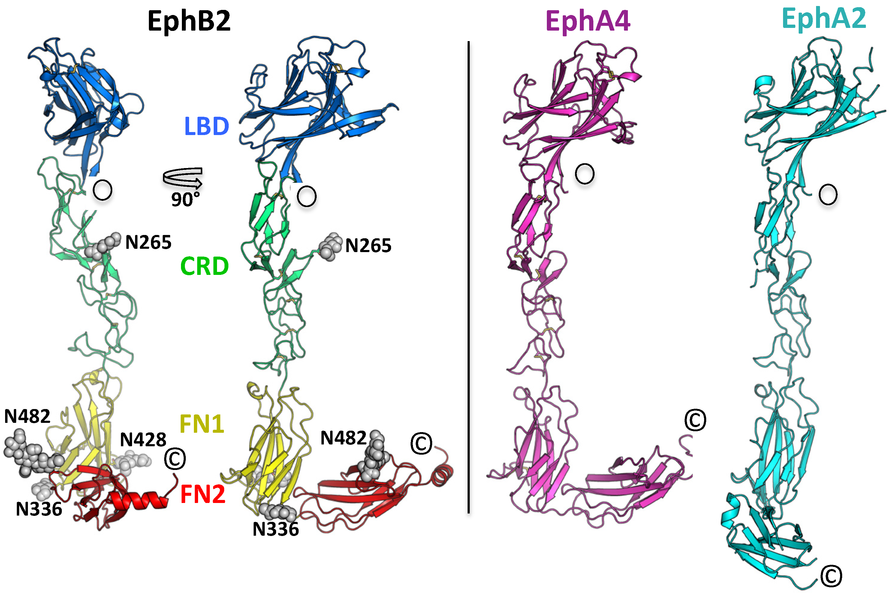Ijms 22 10473 g001 Ijms 22 10473 g001