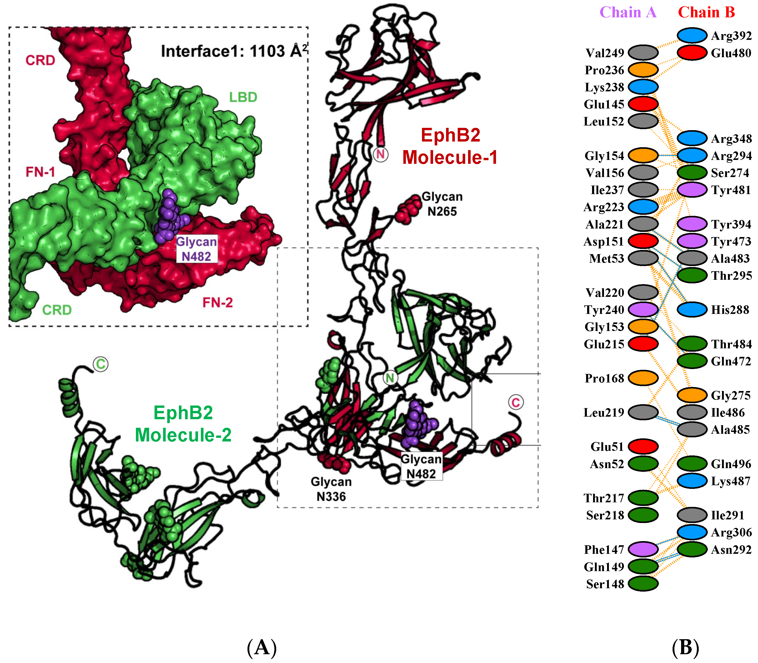 Ijms 22 10473 g002 Ijms 22 10473 g002