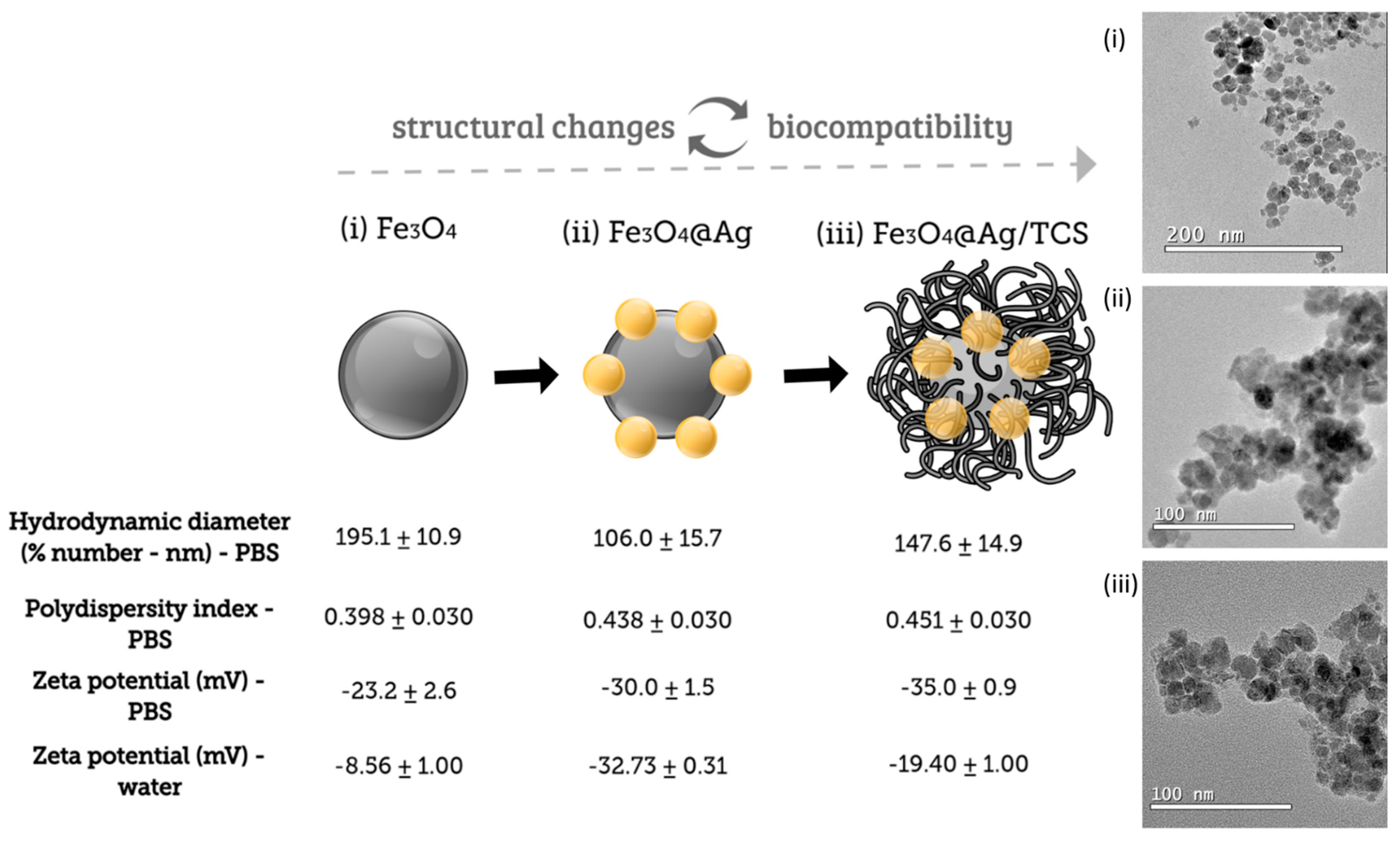 Ijms 22 10477 g001 550