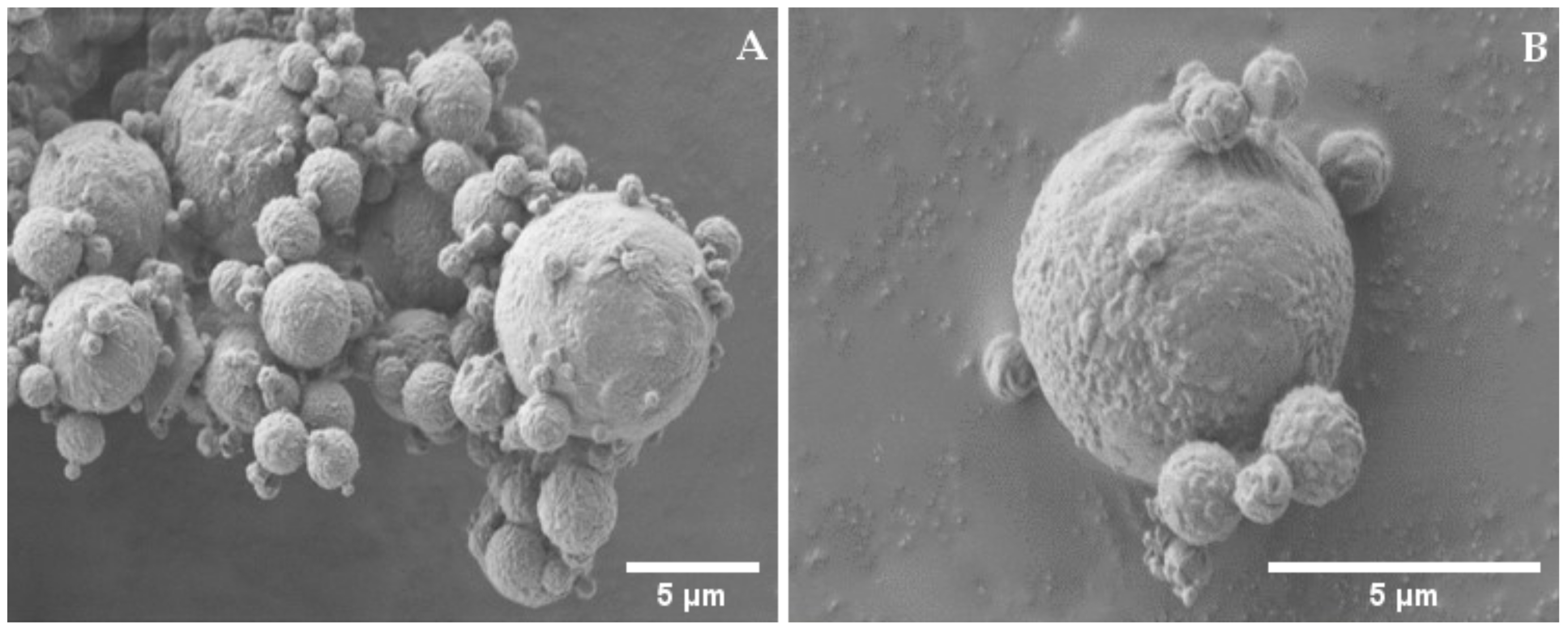 Ijms 22 10480 g004 550