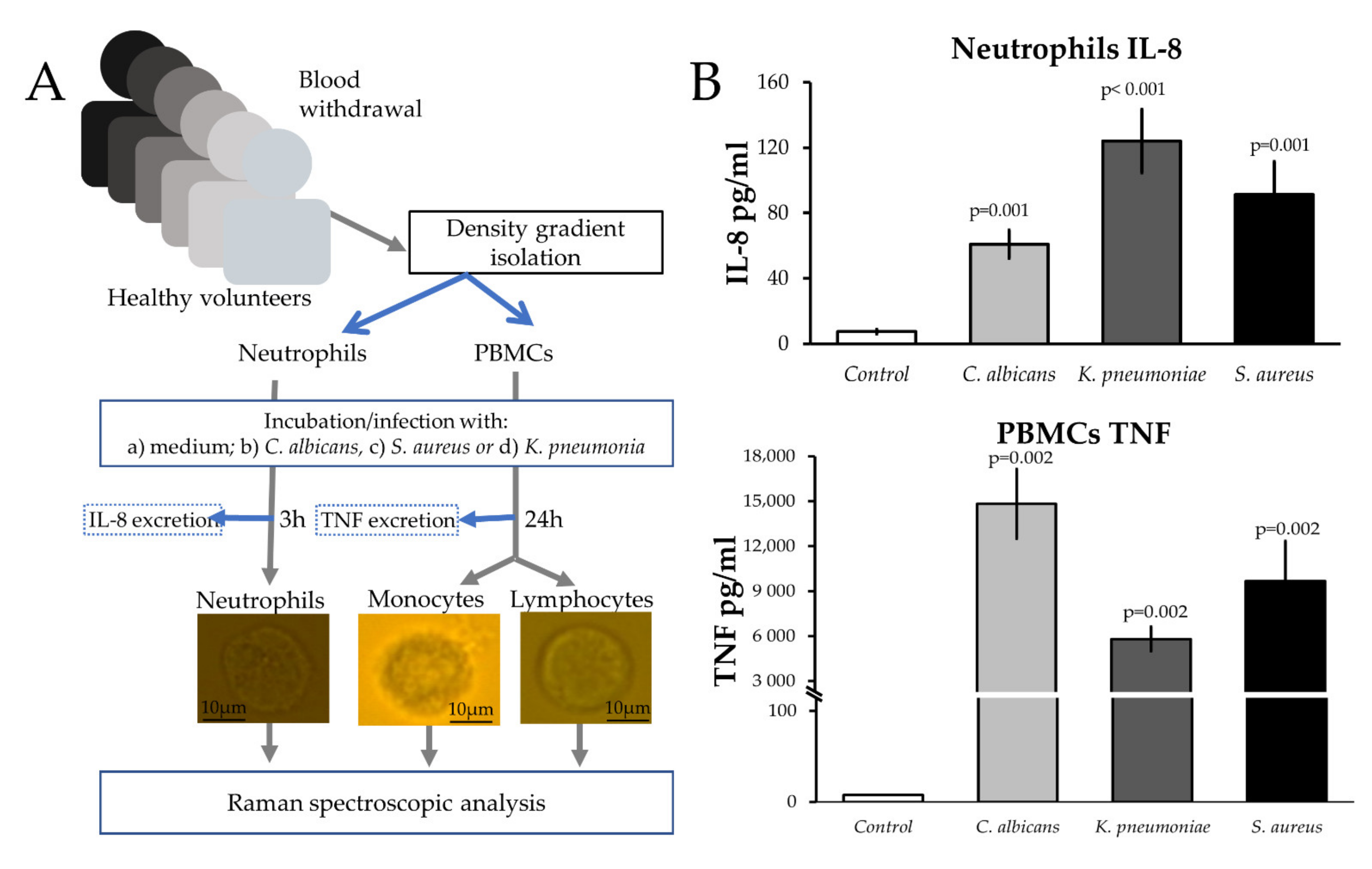 Ijms 22 10481 g001 Ijms 22 10481 g001