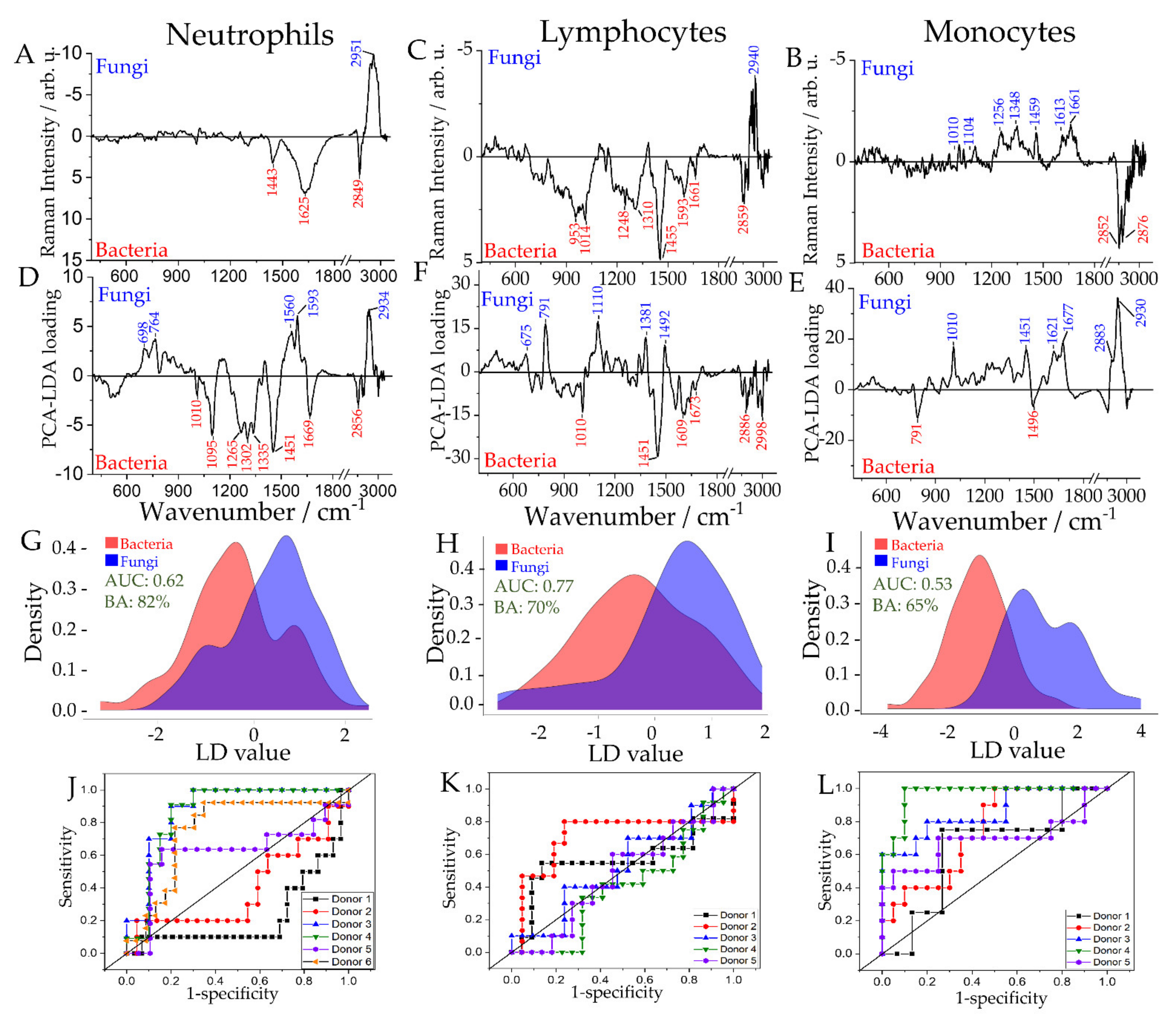 Ijms 22 10481 g003 Ijms 22 10481 g003