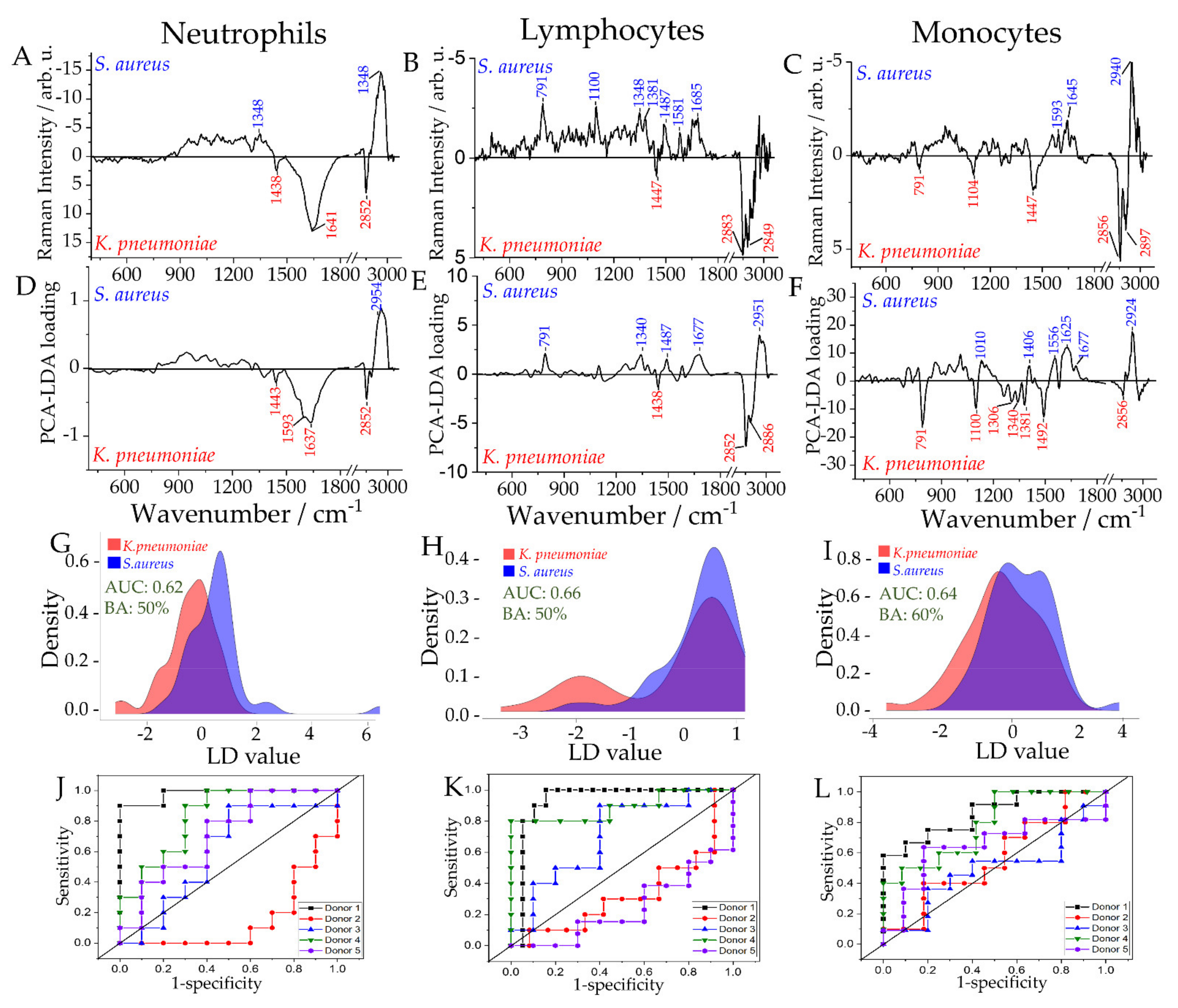 Ijms 22 10481 g004 Ijms 22 10481 g004