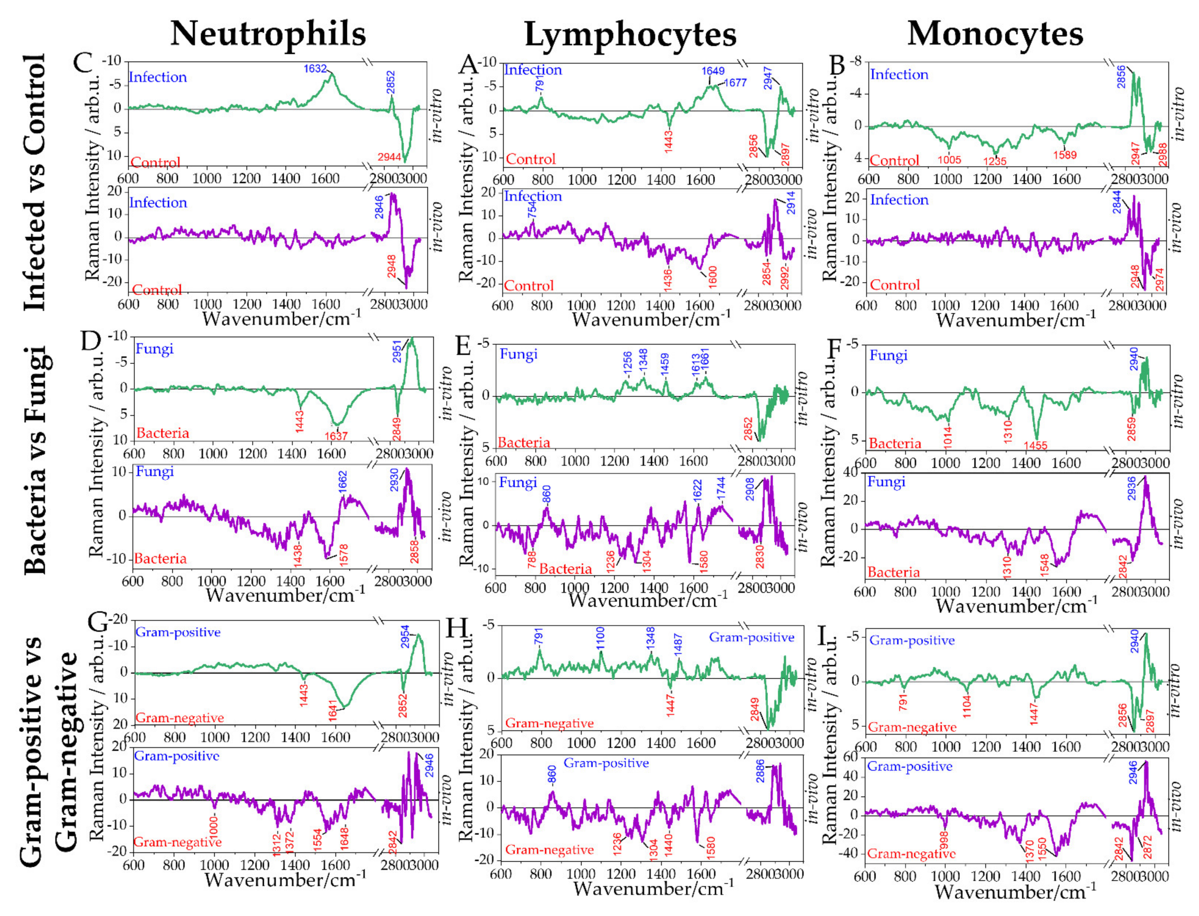 Ijms 22 10481 g005 Ijms 22 10481 g005