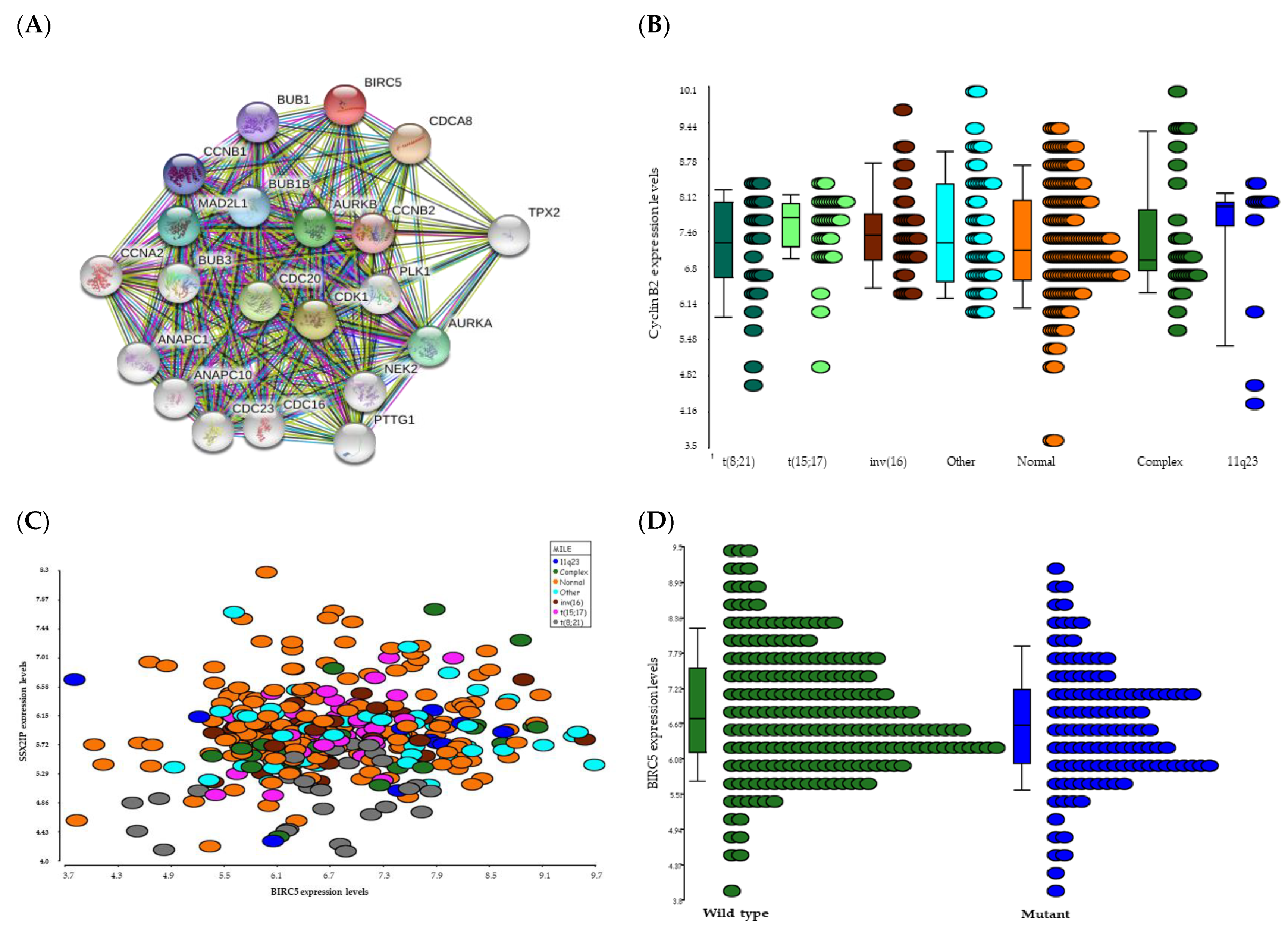 Ijms 22 10482 g005 550