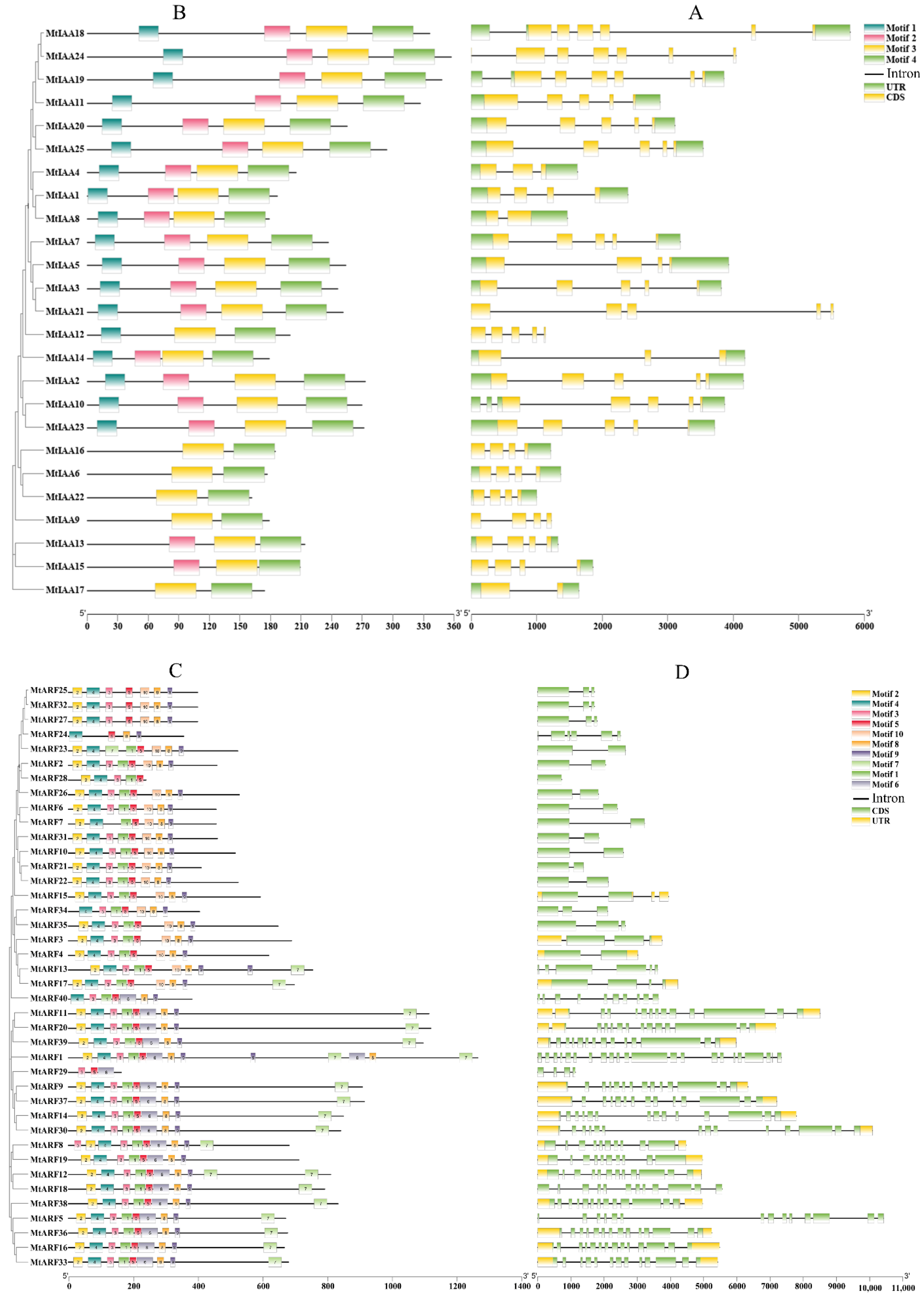 Ijms 22 10494 g002 550