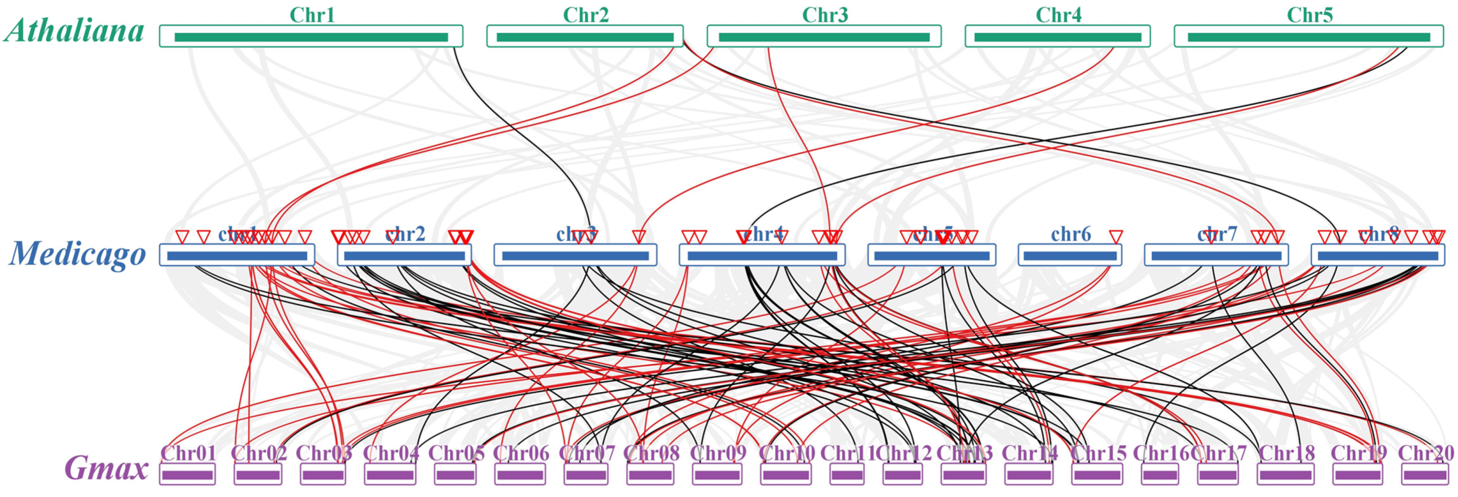 Ijms 22 10494 g003 550