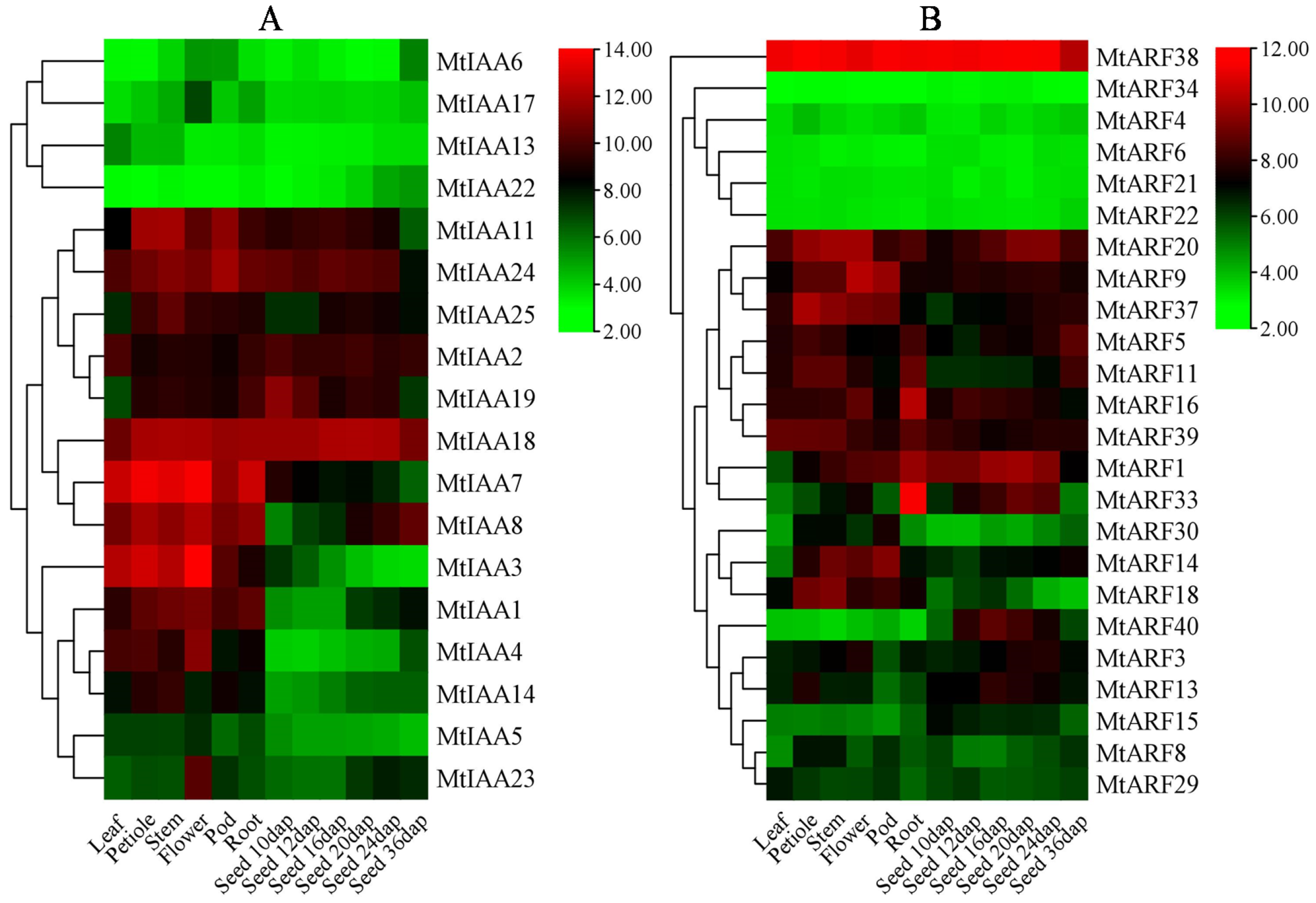 Ijms 22 10494 g004 550