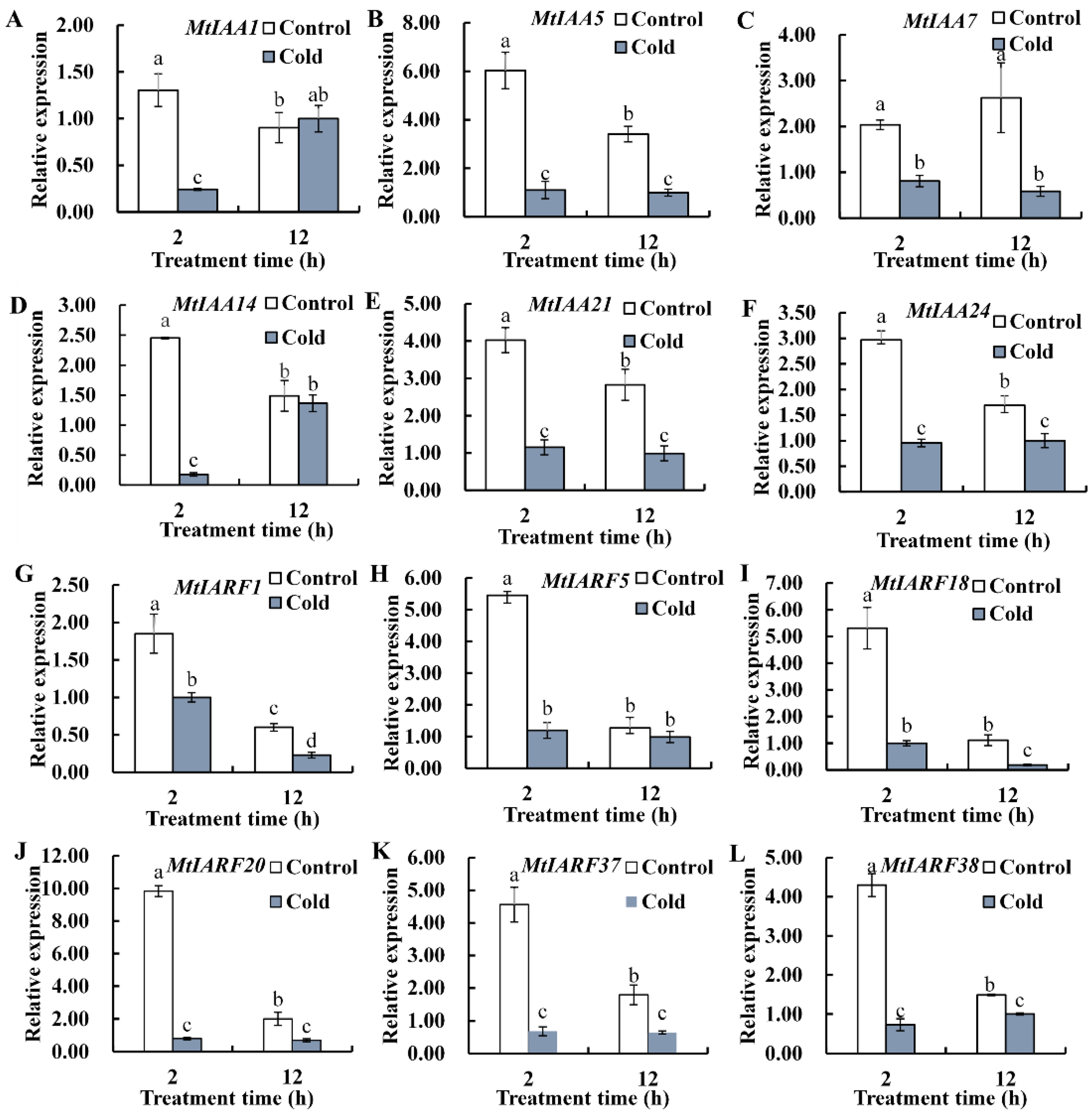 Ijms 22 10494 g007 550