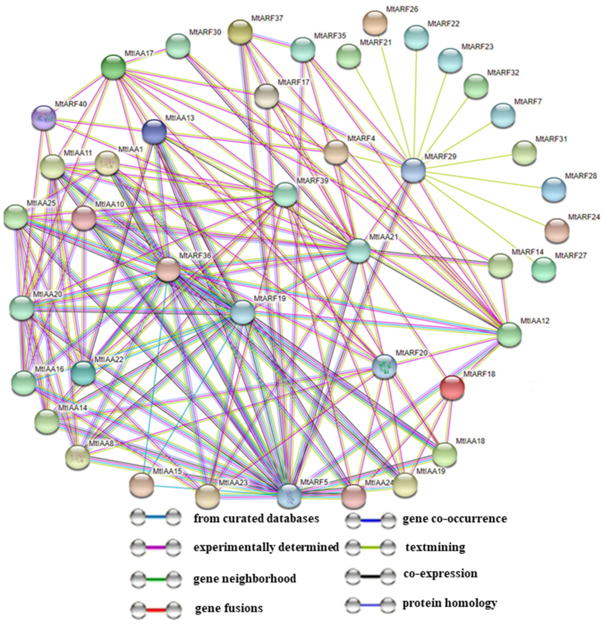 Ijms 22 10494 g008 550