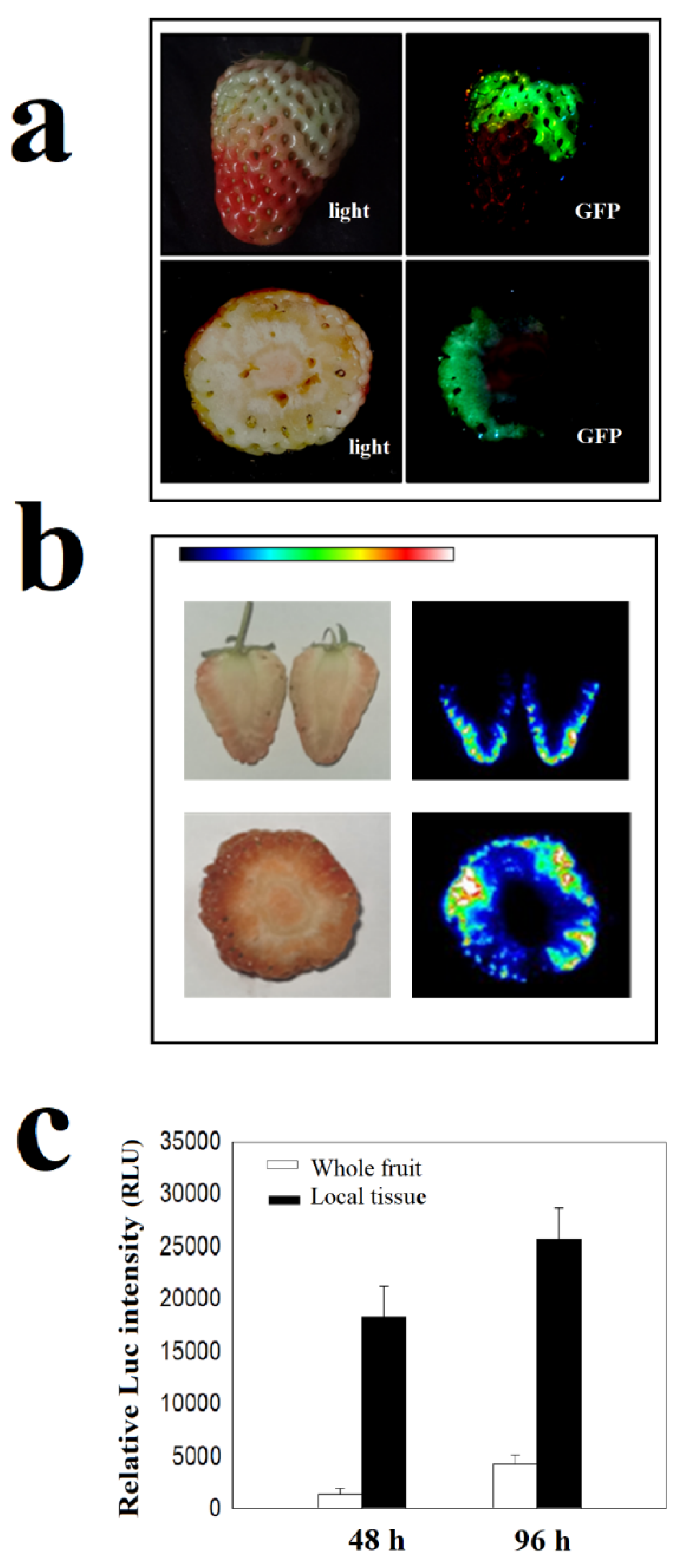 Ijms 22 10495 g002 550