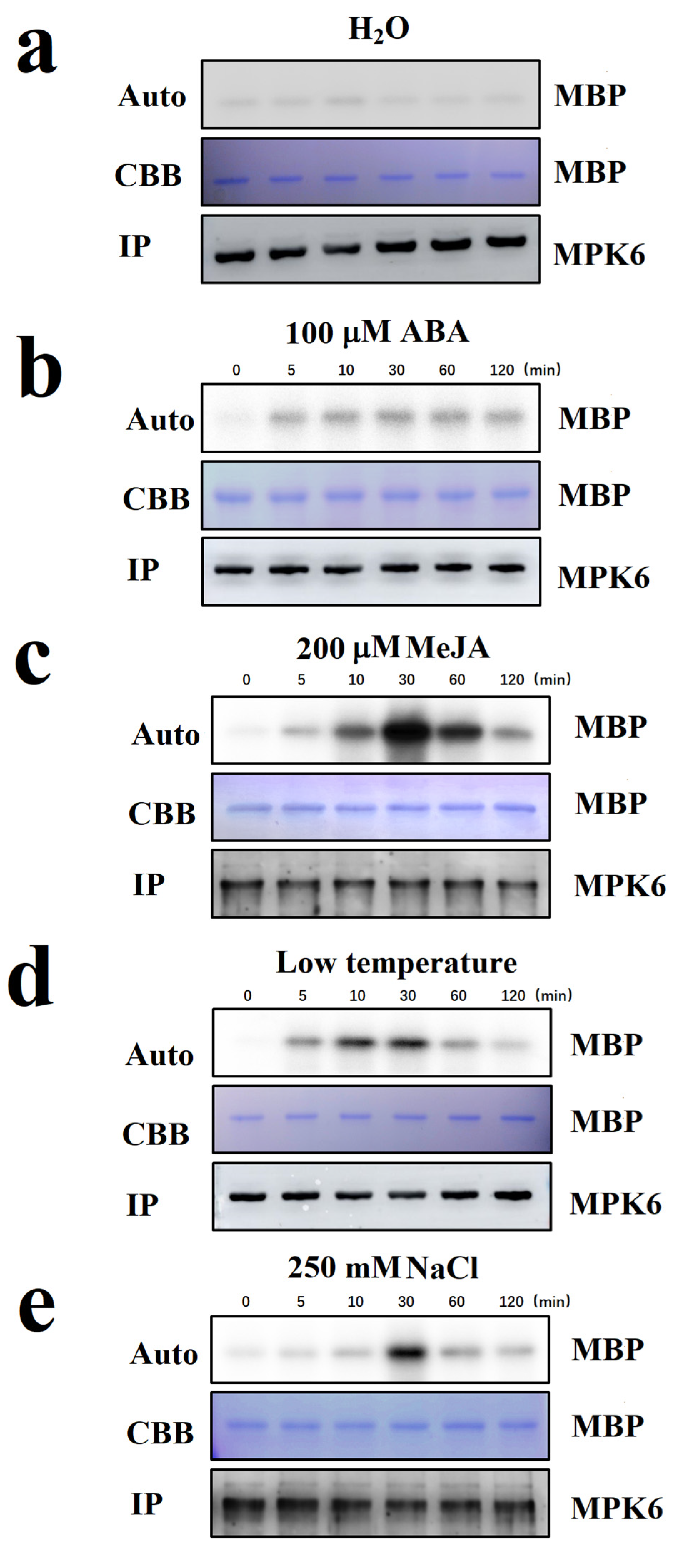 Ijms 22 10495 g004 550