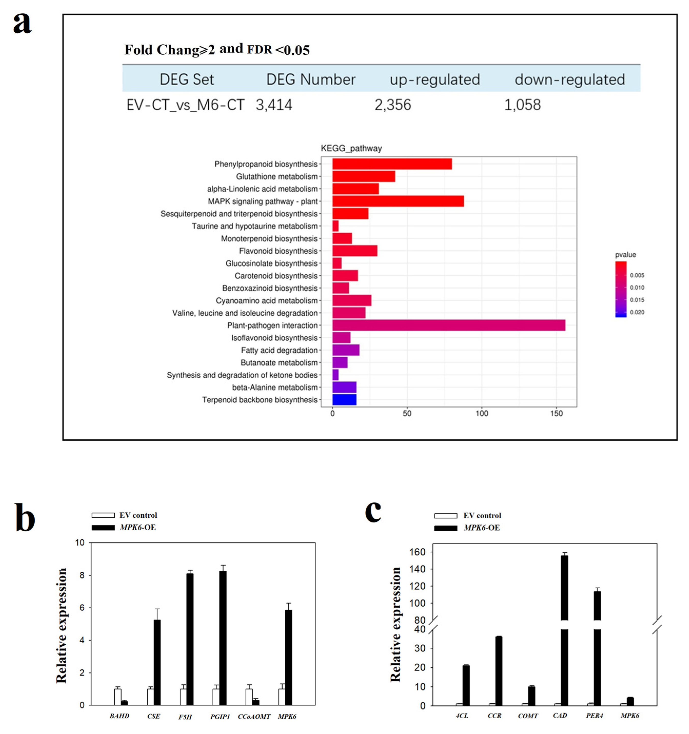 Ijms 22 10495 g005 550