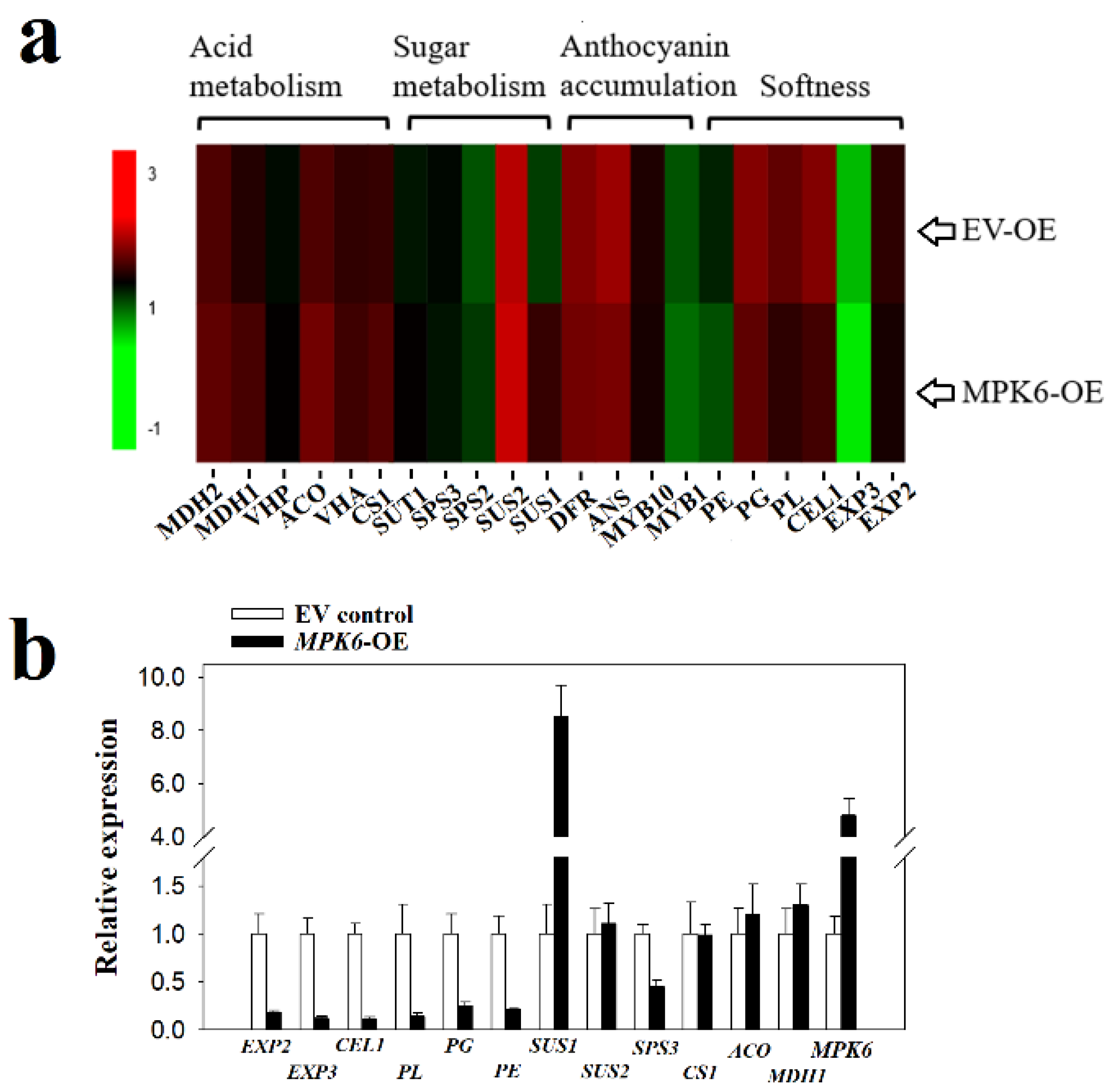 Ijms 22 10495 g006 550