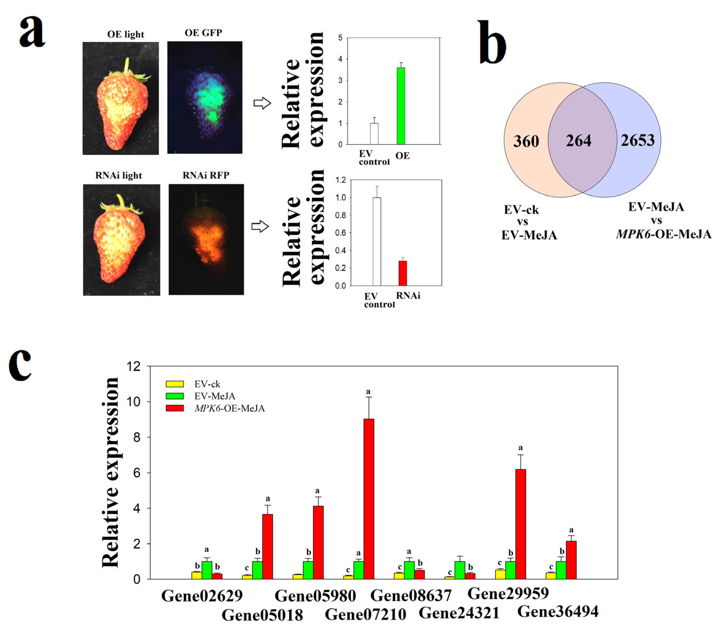 Ijms 22 10495 g007 550