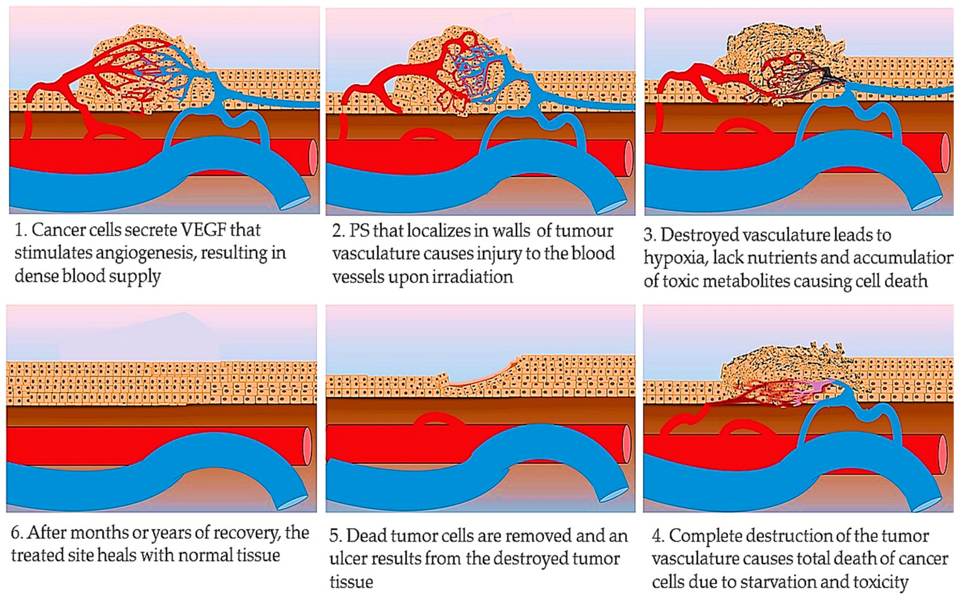 Ijms 22 10506 g004 550