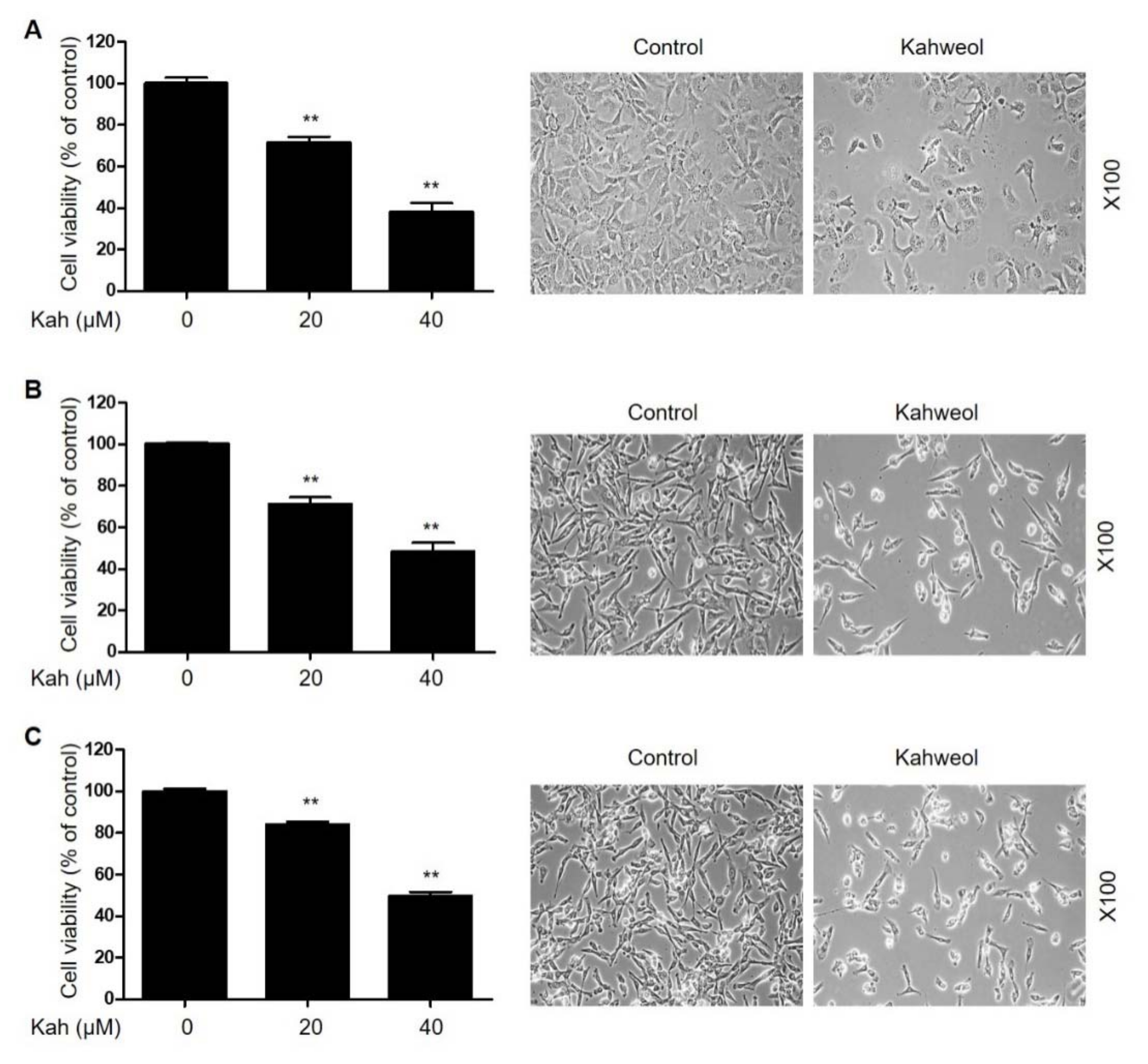 Ijms 22 10509 g002 550