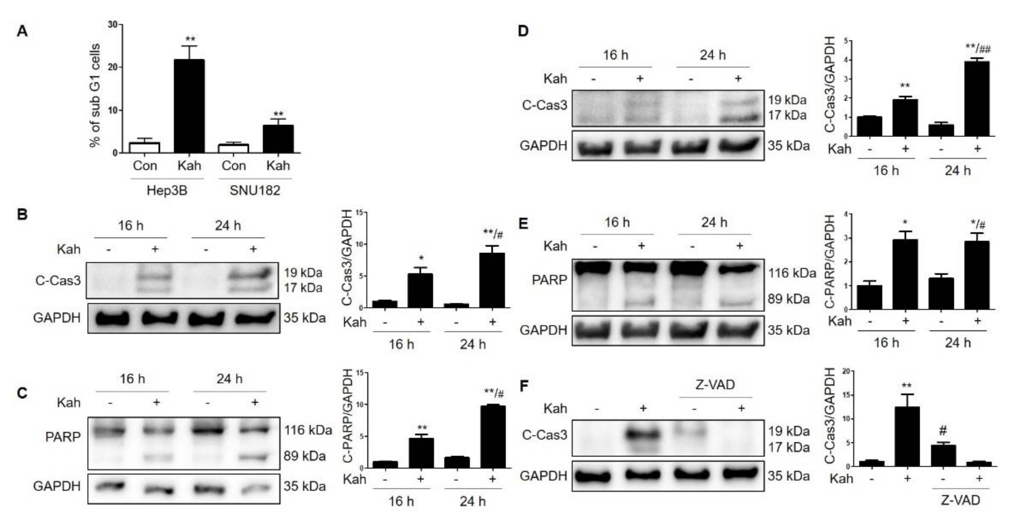 Ijms 22 10509 g003 550