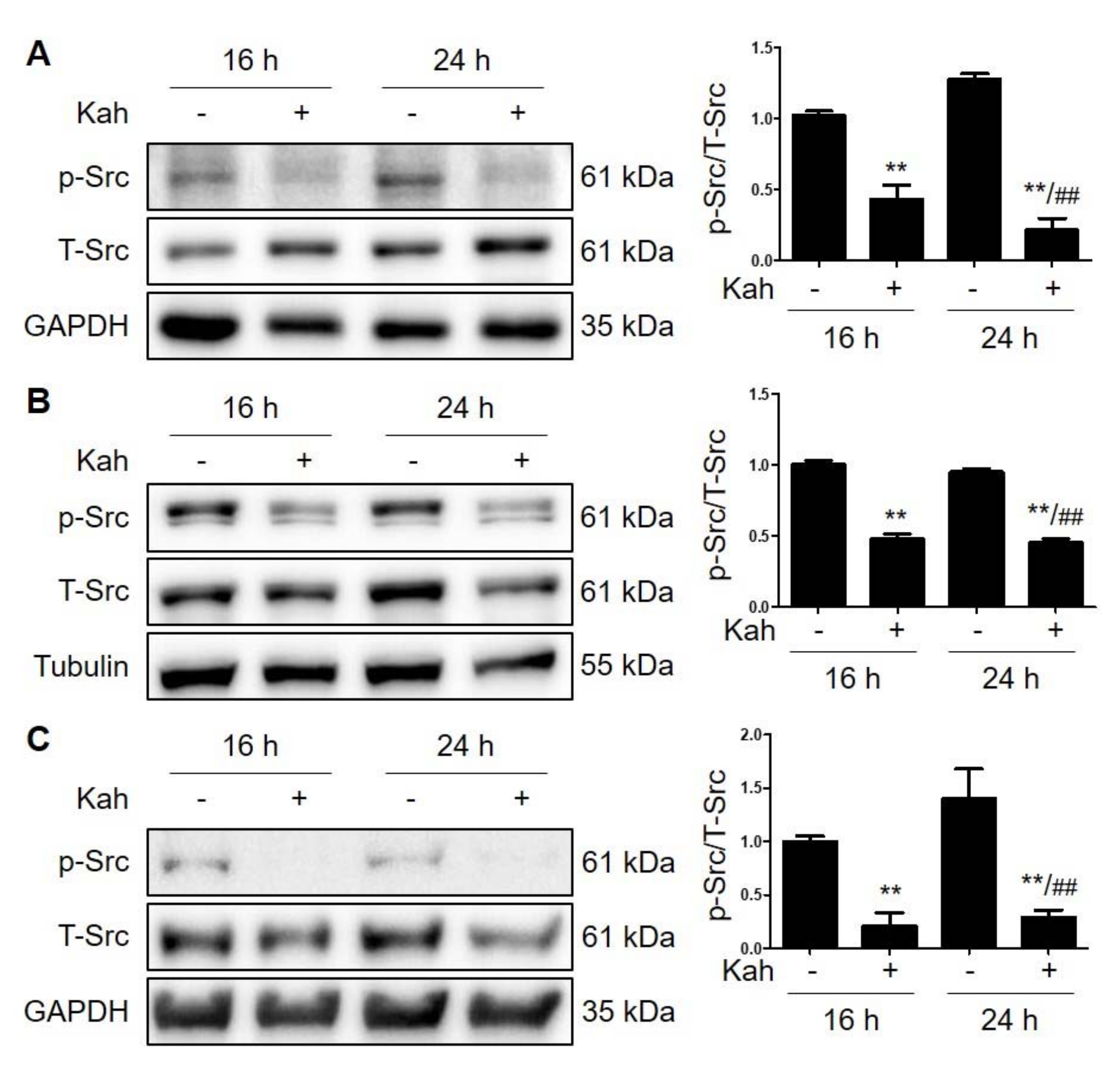 Ijms 22 10509 g004 550