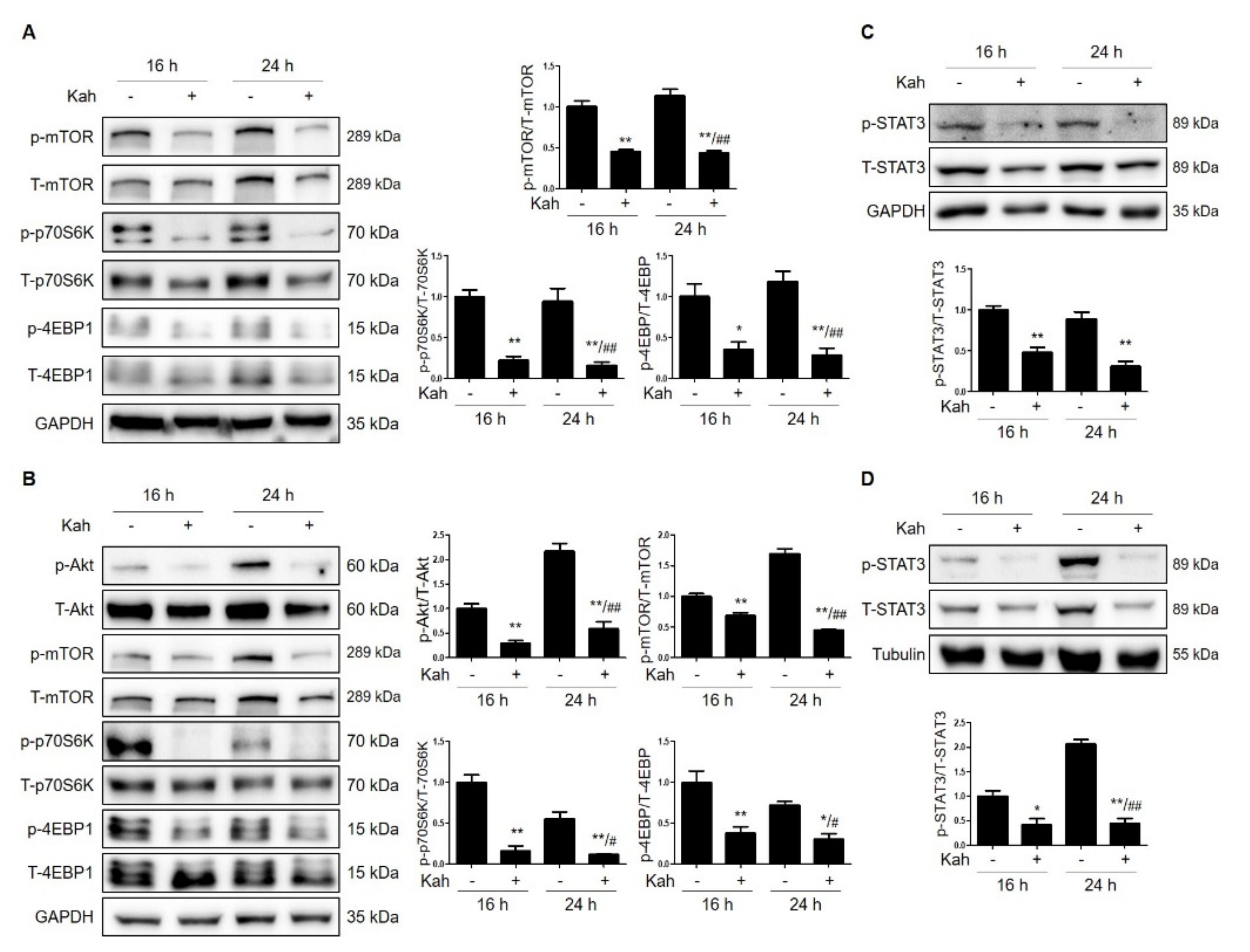 Ijms 22 10509 g005 550
