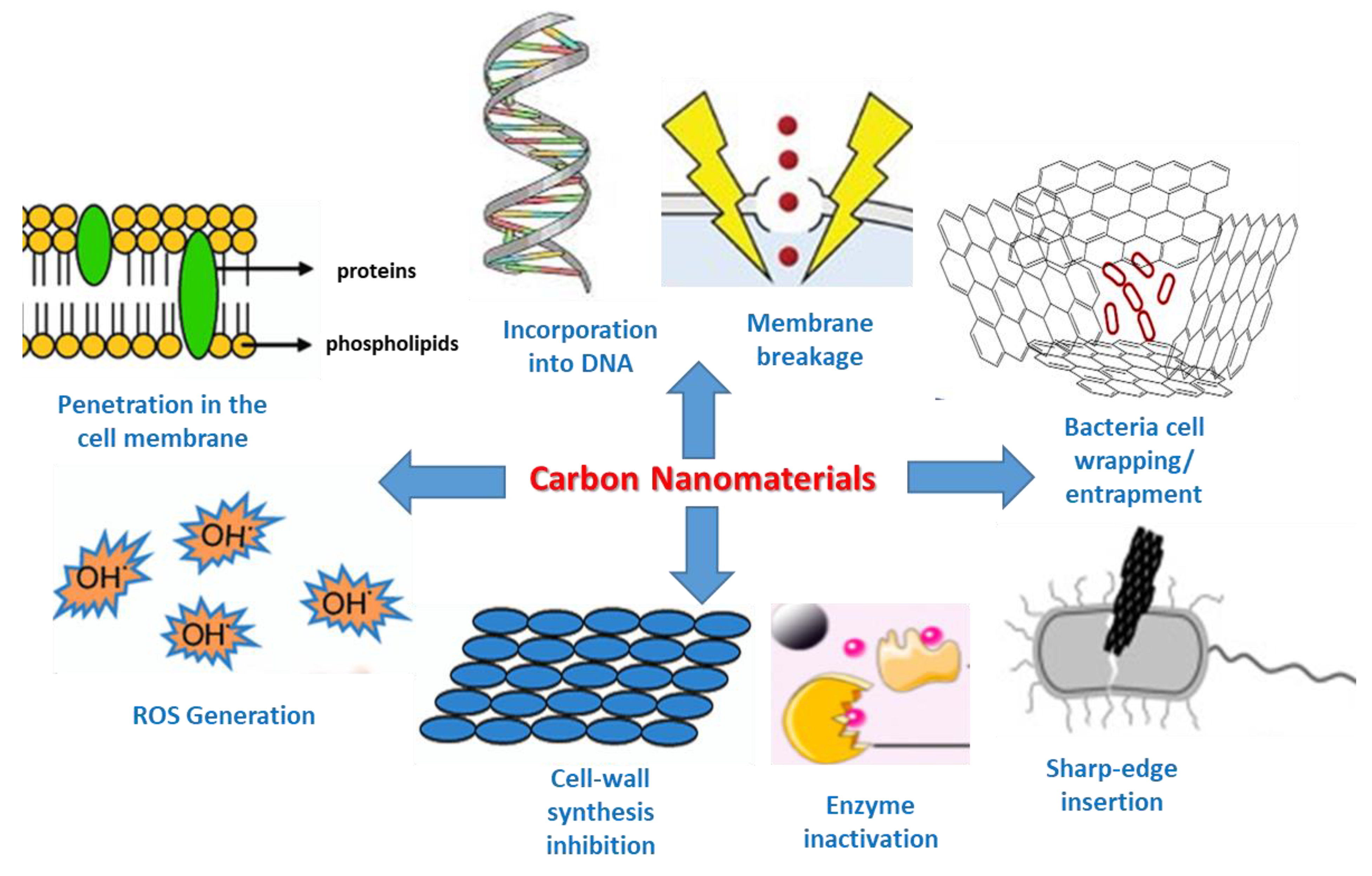 Ijms 22 10511 sch002