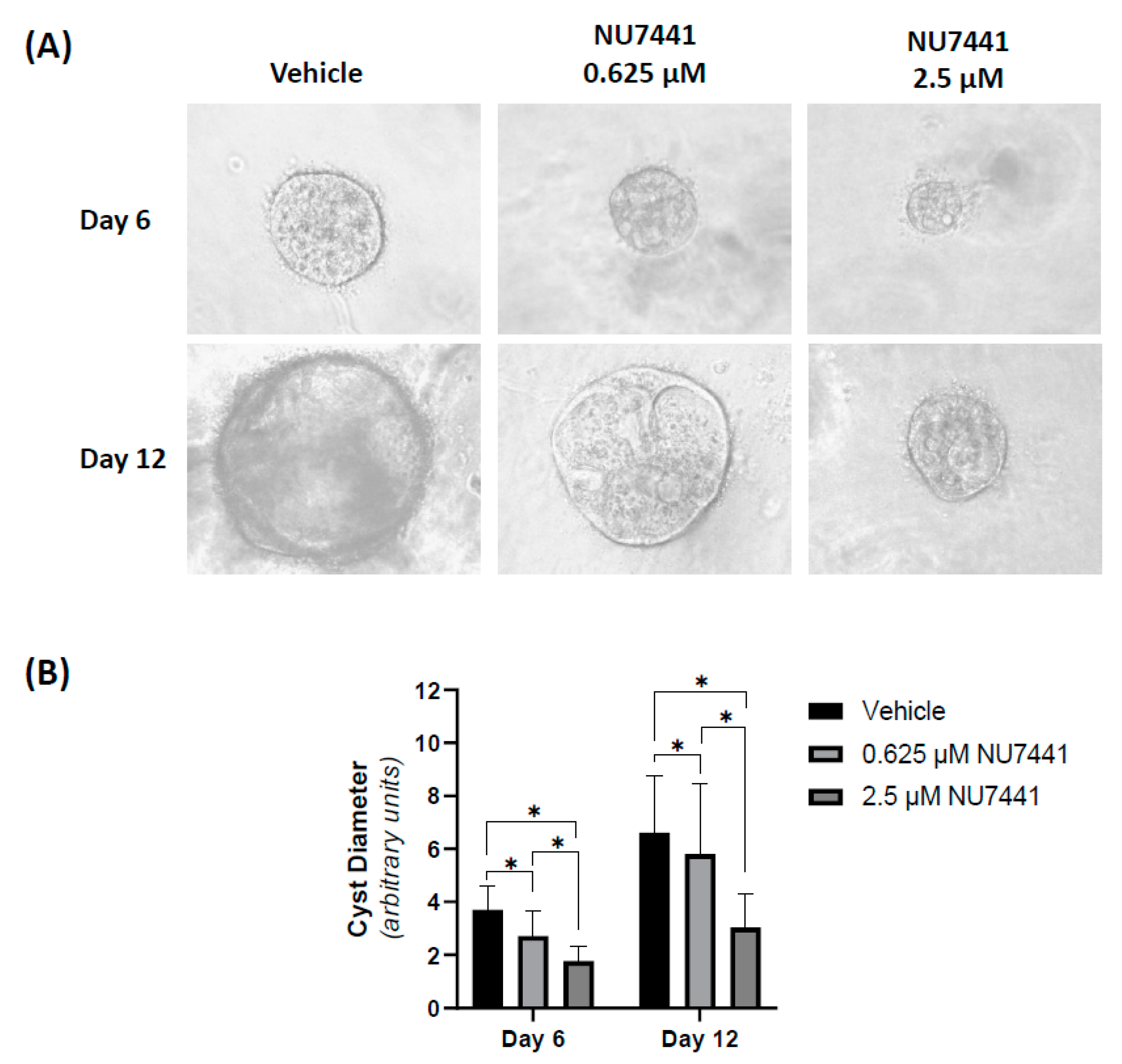 Ijms 22 10512 g003 550