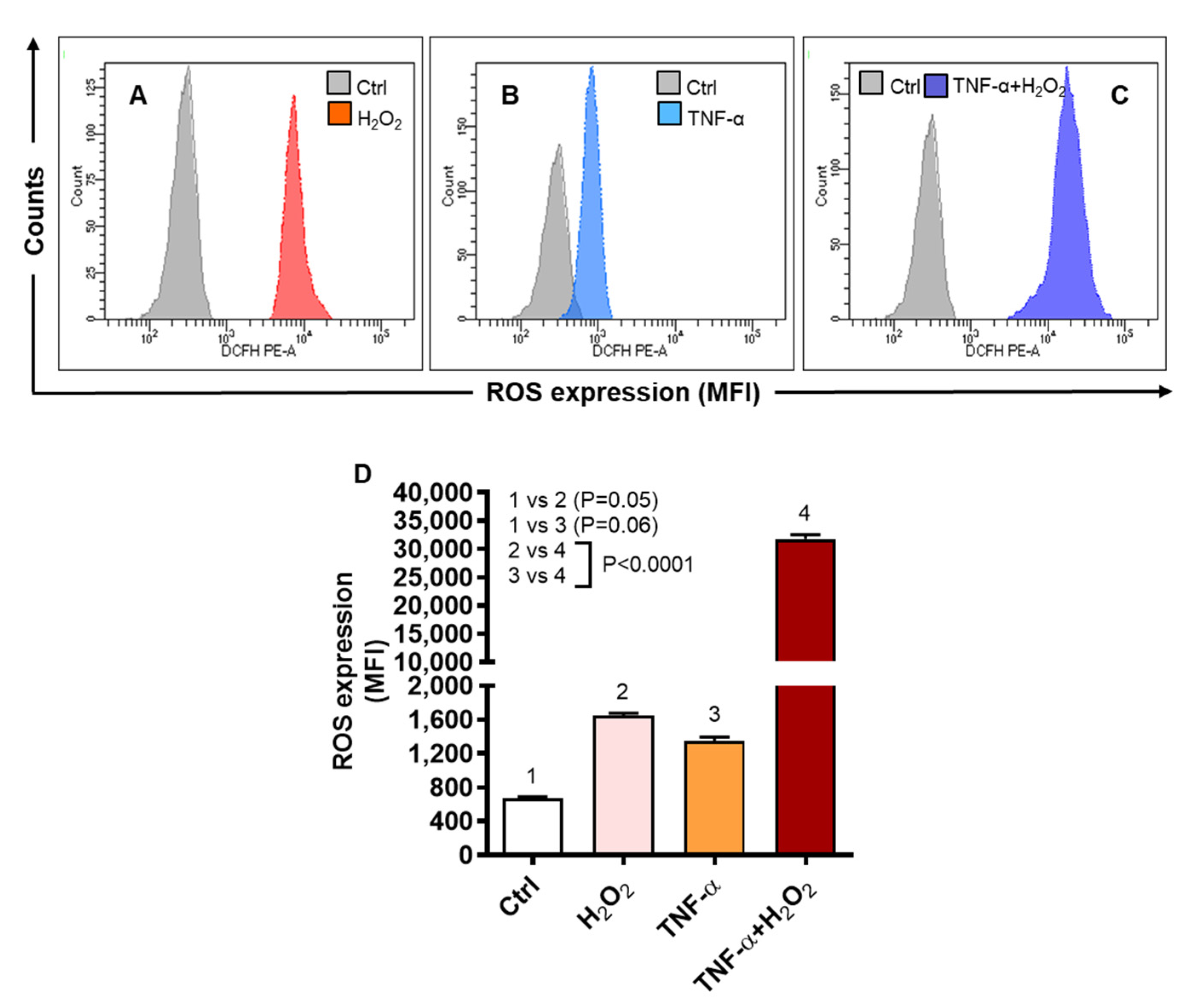 Ijms 22 10519 g005 Ijms 22 10519 g005
