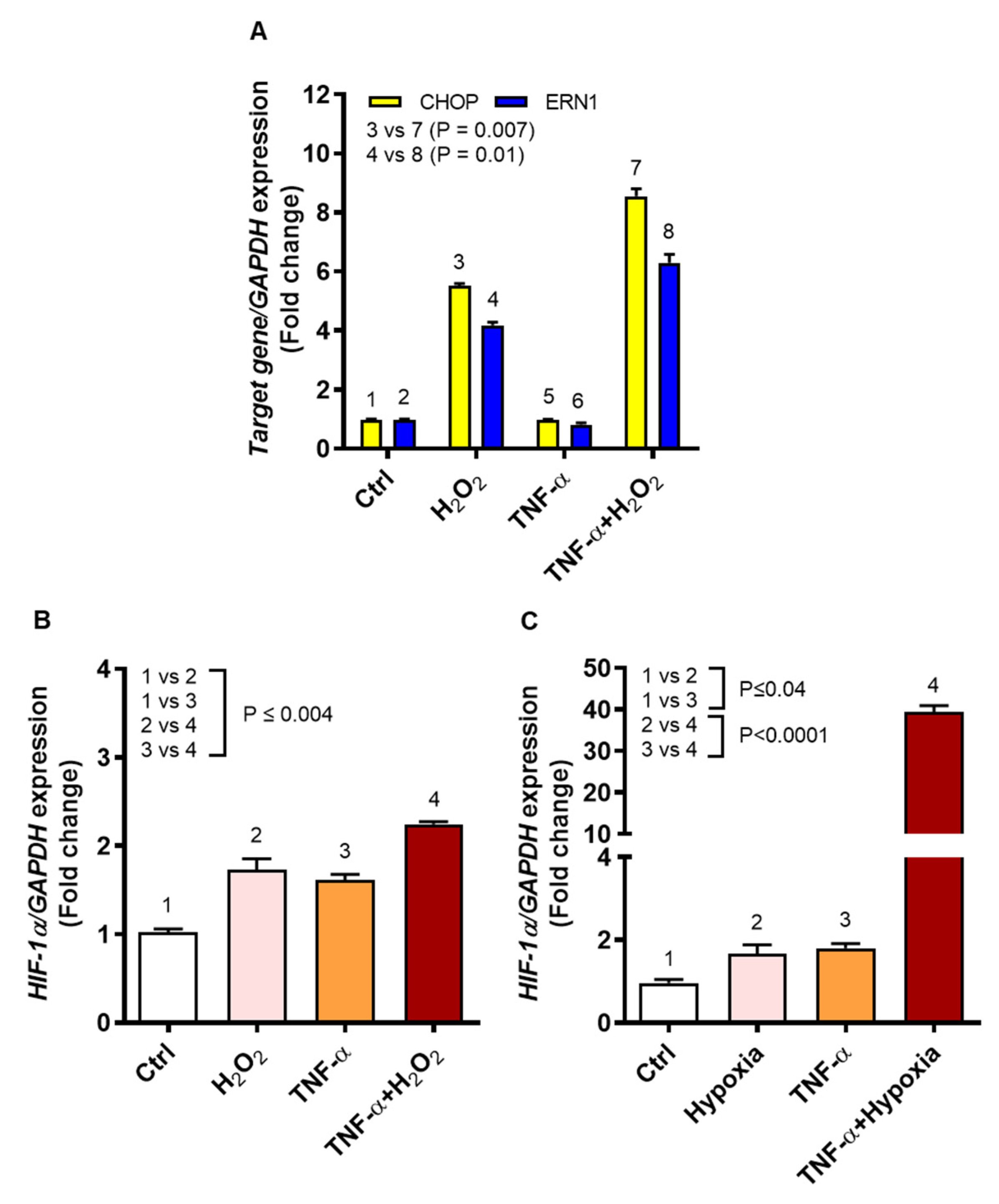 Ijms 22 10519 g007 Ijms 22 10519 g007