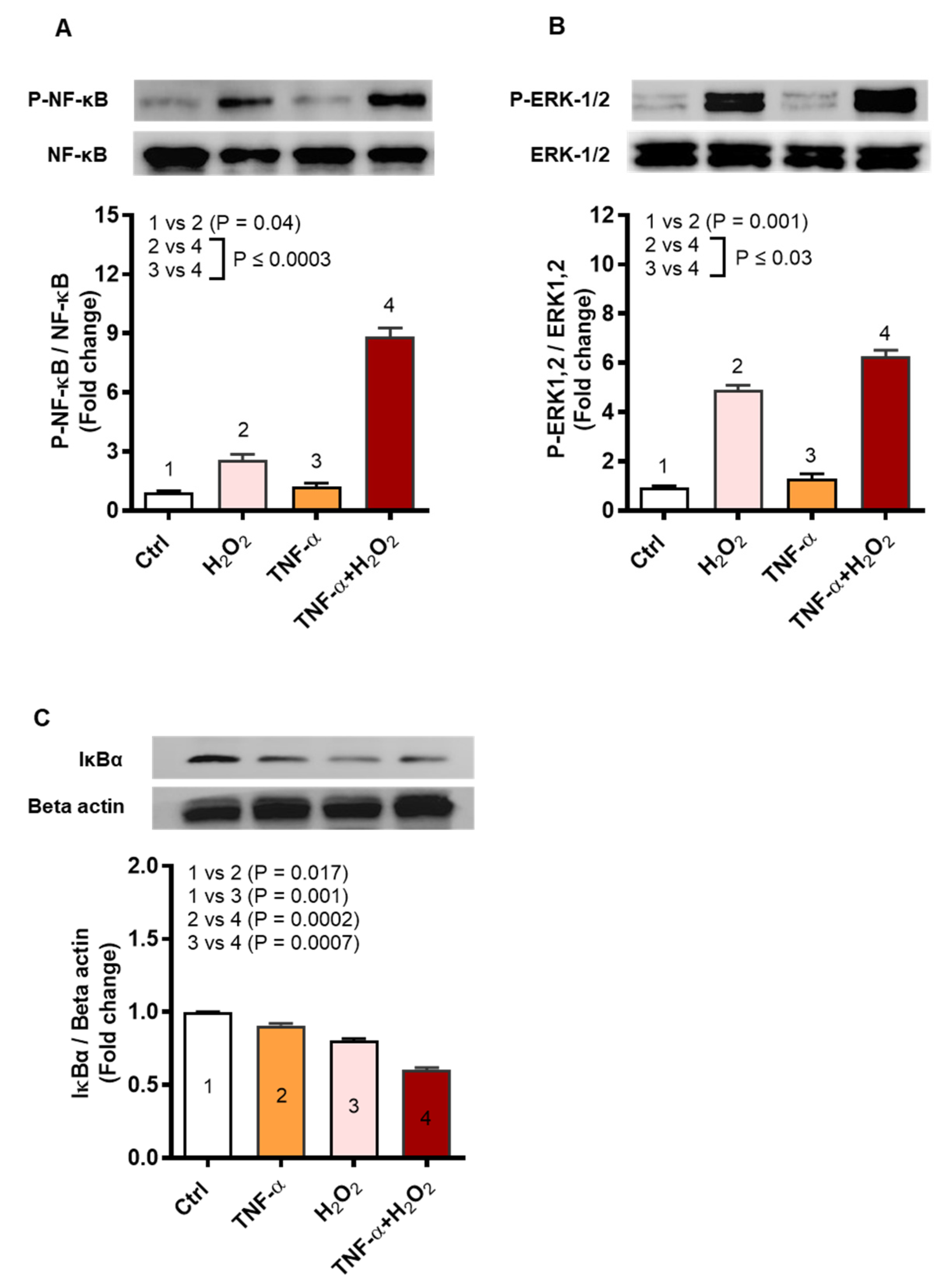 Ijms 22 10519 g008 Ijms 22 10519 g008