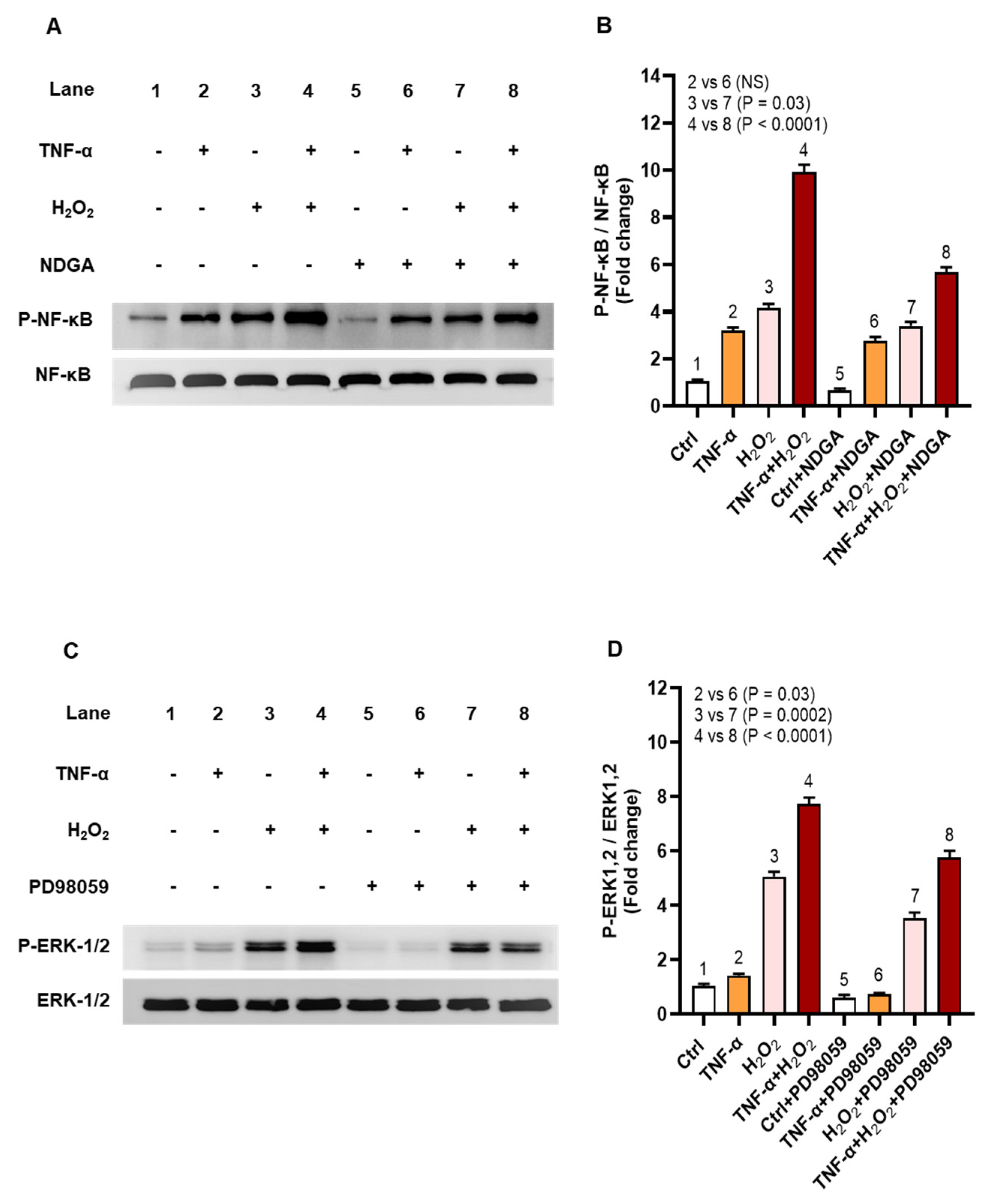 Ijms 22 10519 g009 Ijms 22 10519 g009