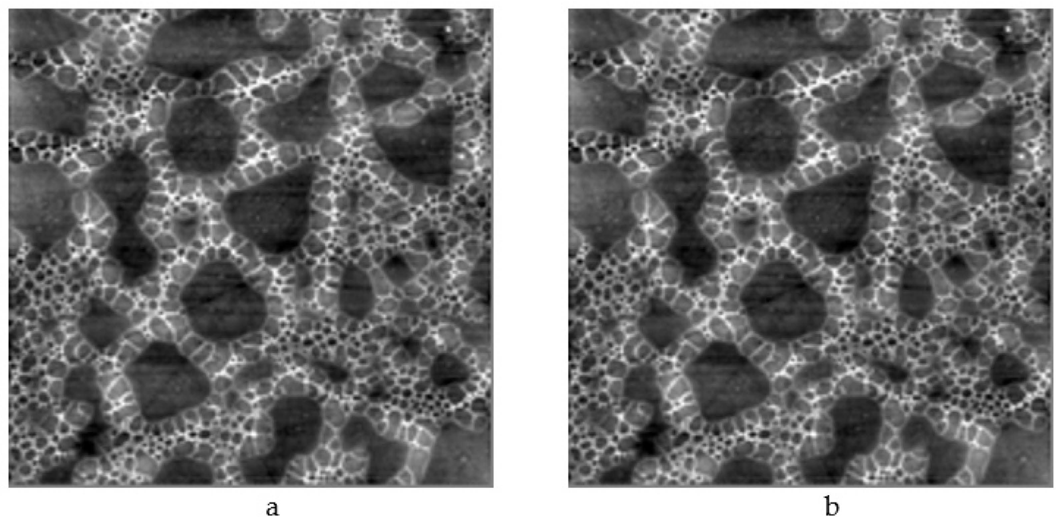 Ijms 22 10521 g006 550