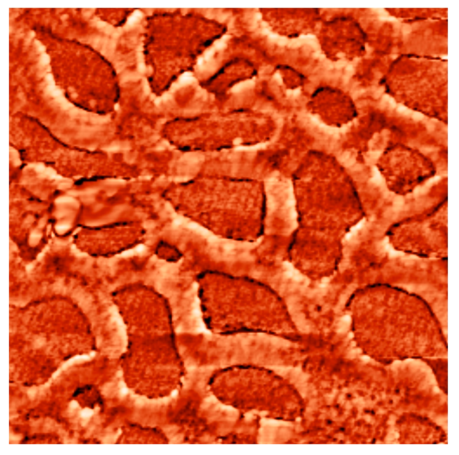 Ijms 22 10521 g017 550